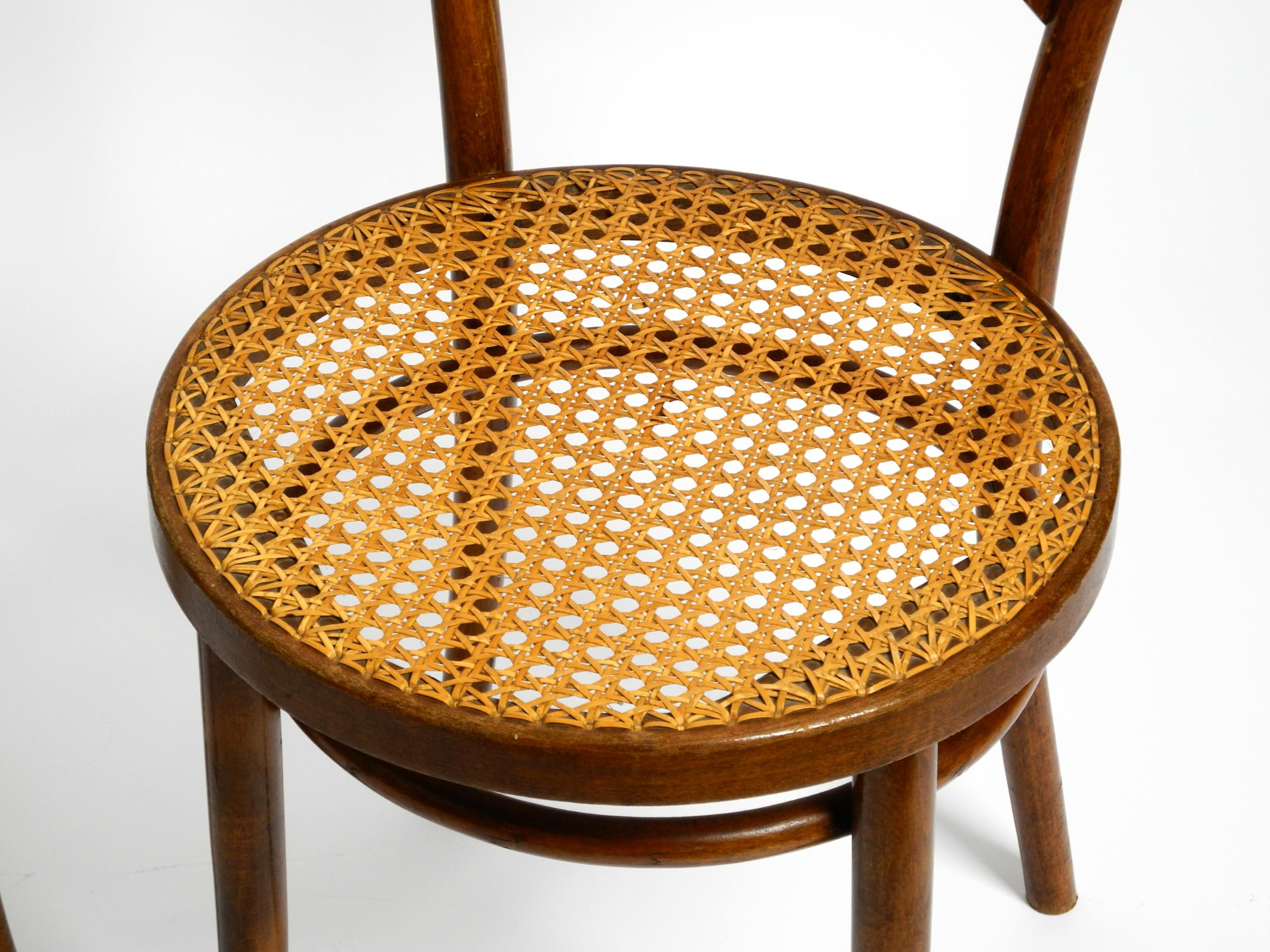 Mid-20th Century Two 30s coffee house chairs made of bentwood with cane weave by ZPM Radomsko