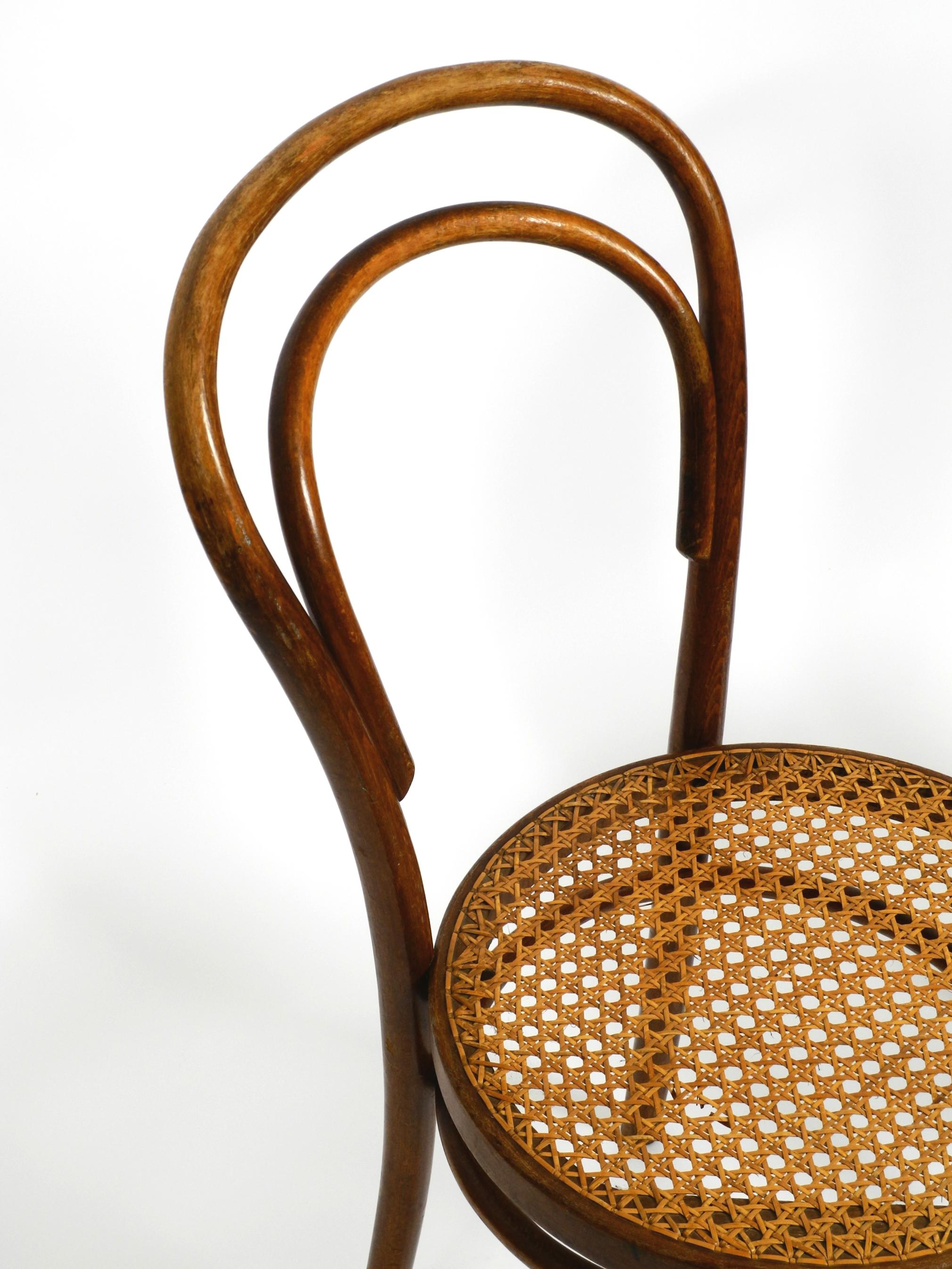 Two 30s coffee house chairs made of bentwood with cane weave by ZPM Radomsko 1