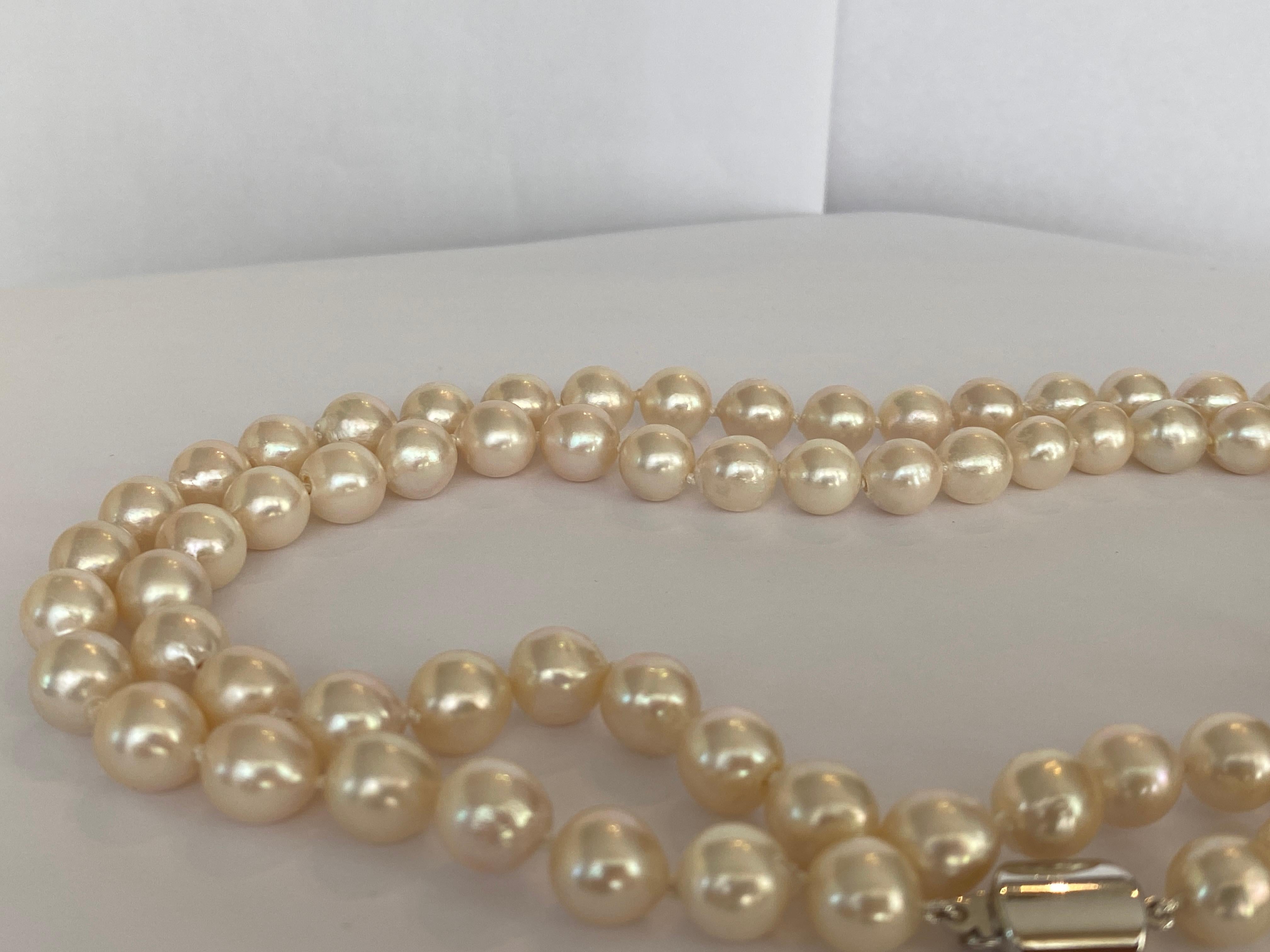 Two Akoya pearl necklace with 18 kt white gold clasp 1