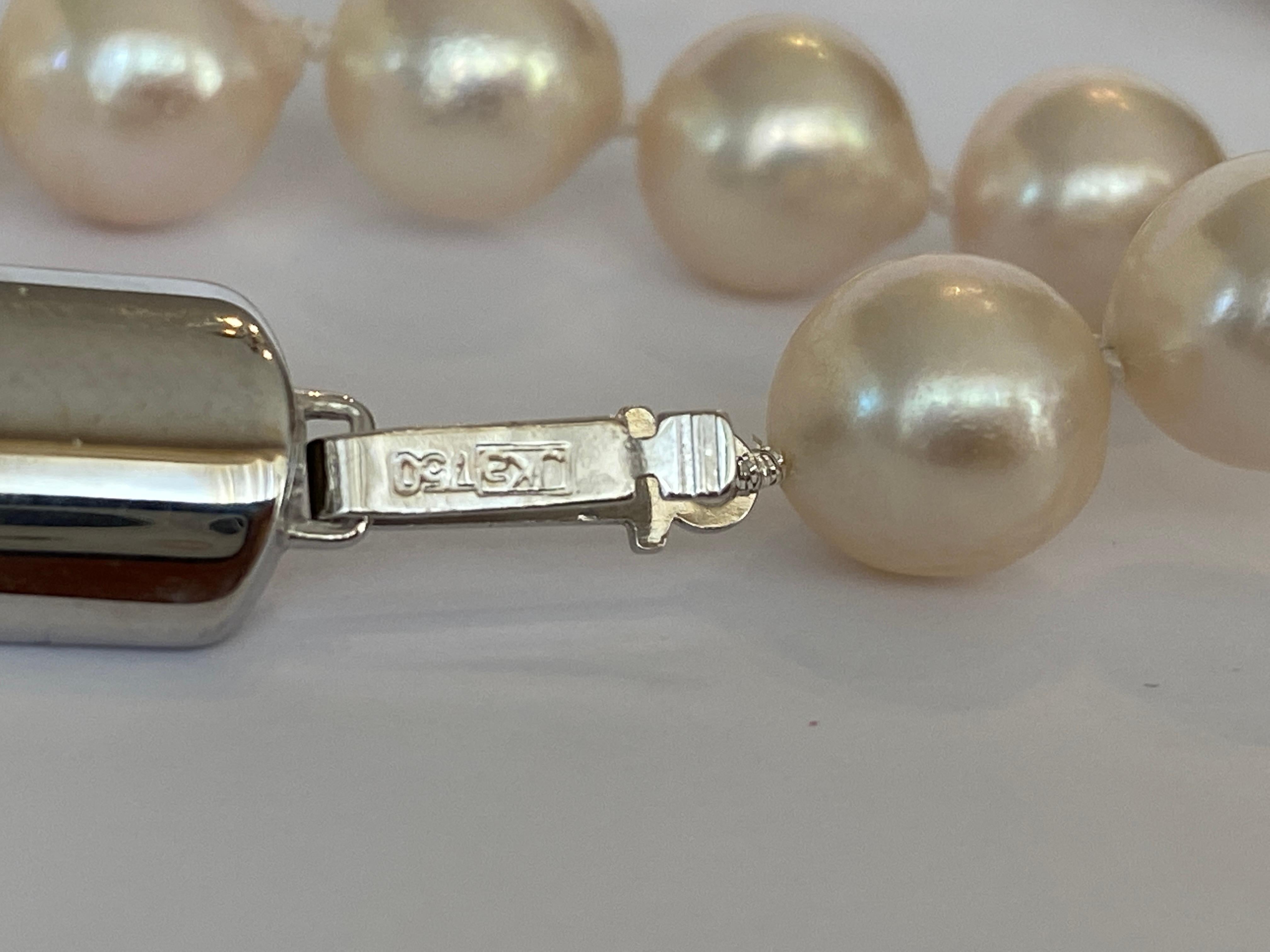 Two Akoya pearl necklace with 18 kt white gold clasp 2