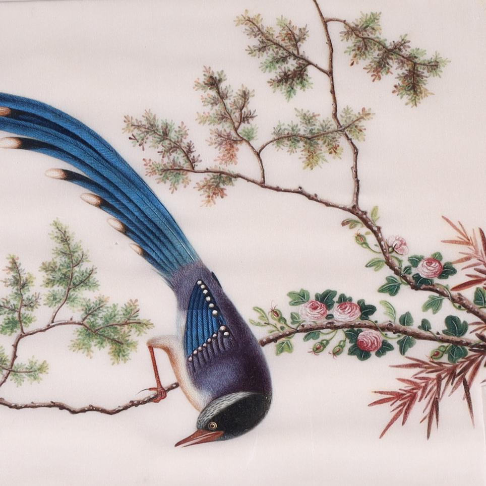 Two Antique Chinese Gouache Paintings of Birds on Pith Paper For Sale 4