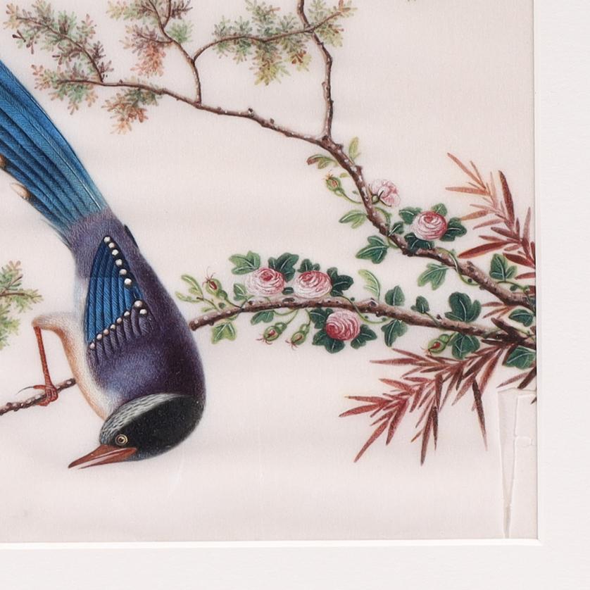 Two Antique Chinese Gouache Paintings of Birds on Pith Paper For Sale 5