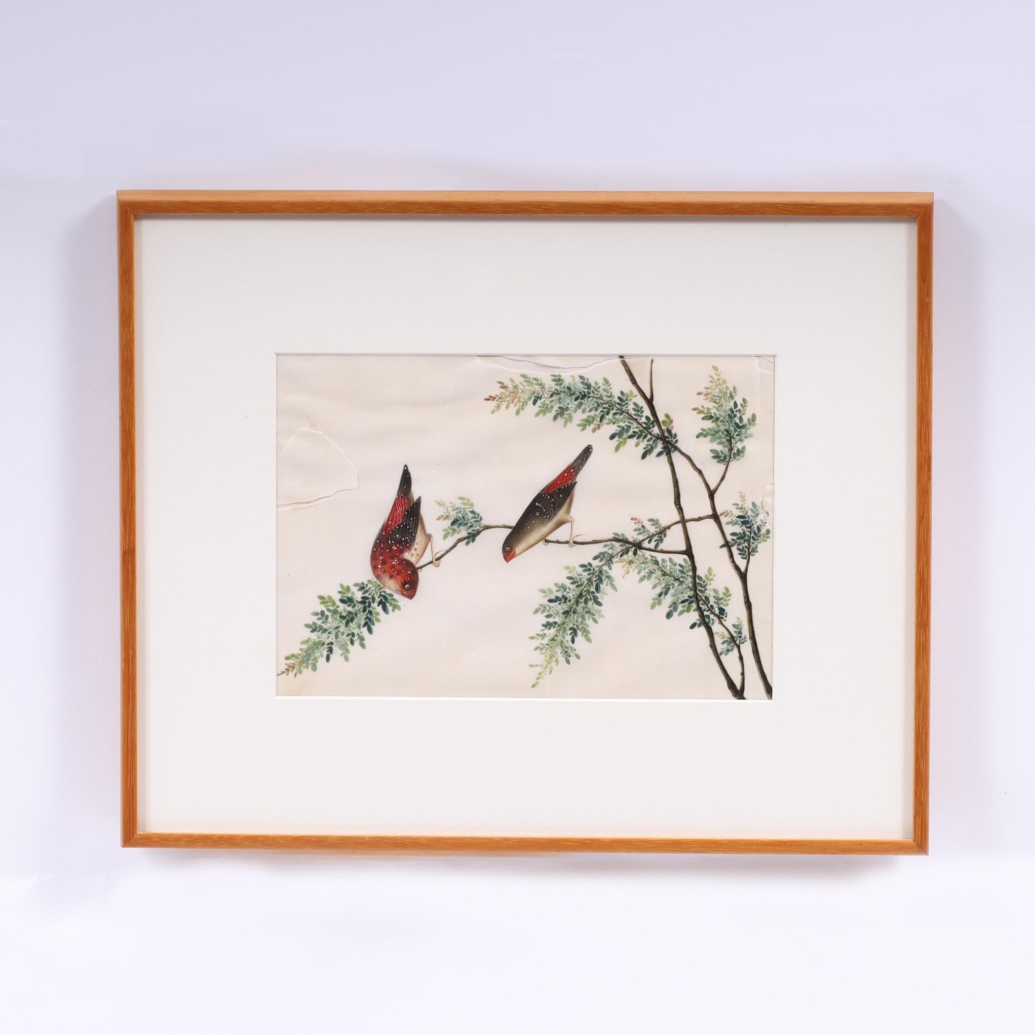 Rare 19th Century gouache paintings on pith paper, one of two birds on a tree and one of a blue bird on a branch with flowers and trees both executed in a distinctive traditional delicate technique. Presented in a wood frame under glass. 