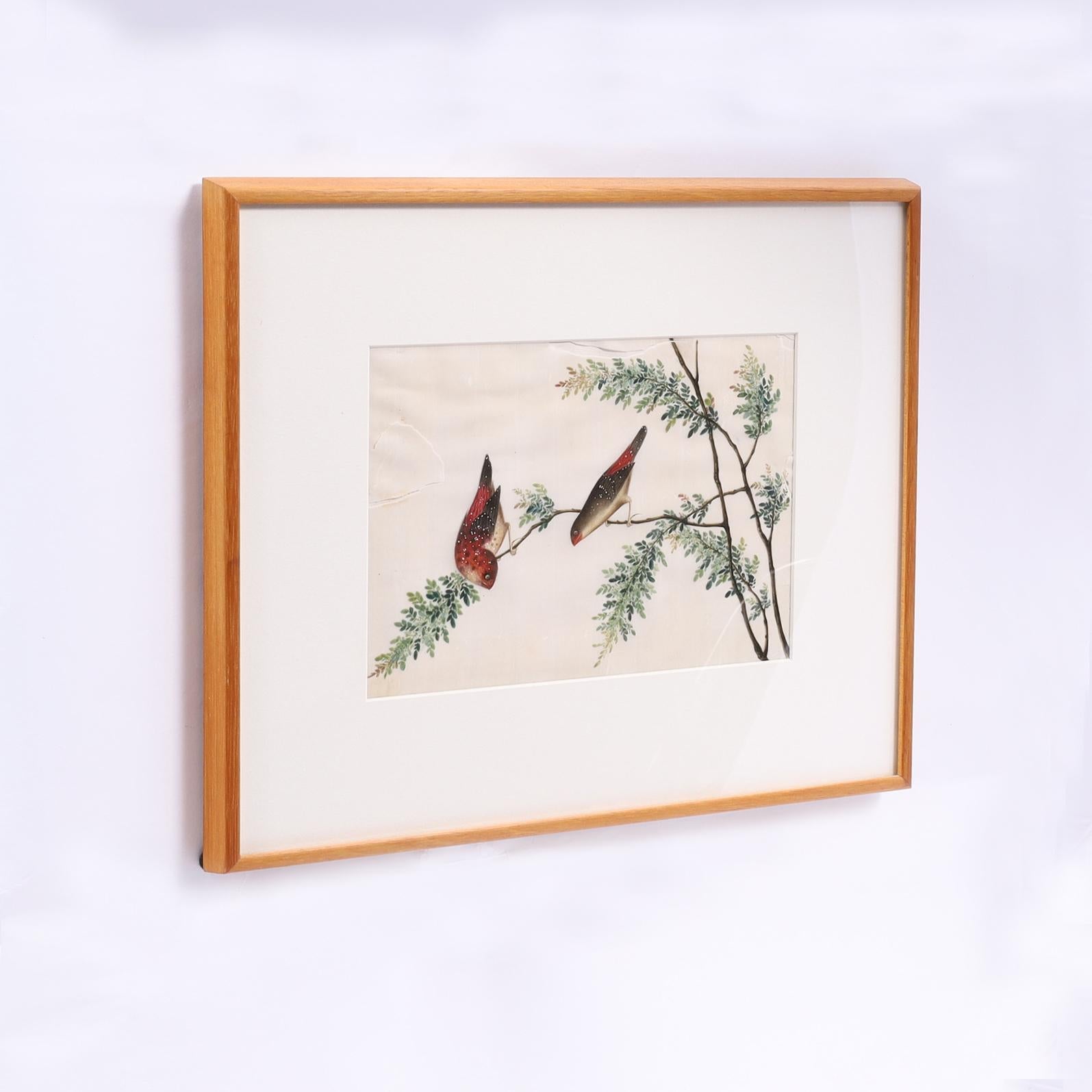 Chinese Export Two Antique Chinese Gouache Paintings of Birds on Pith Paper For Sale