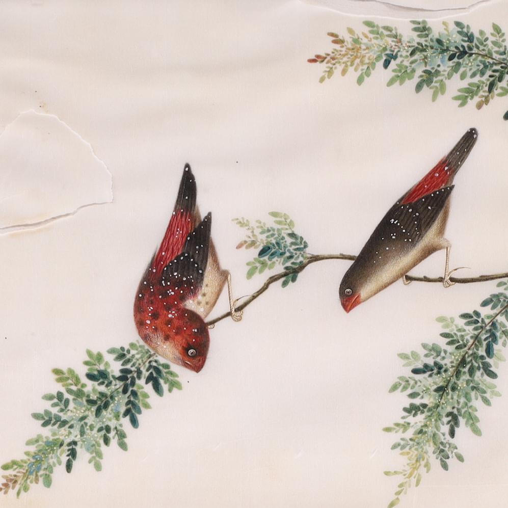 Hand-Painted Two Antique Chinese Gouache Paintings of Birds on Pith Paper For Sale