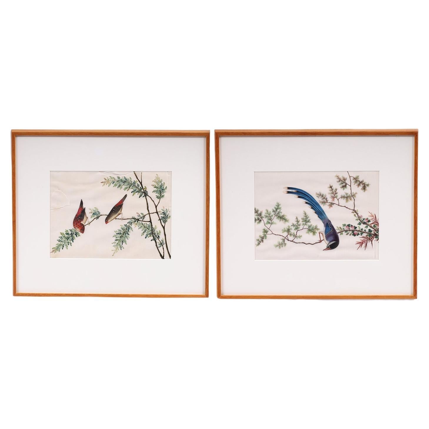 Two Antique Chinese Gouache Paintings of Birds on Pith Paper