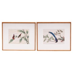 Two Antique Chinese Gouache Paintings of Birds on Pith Paper