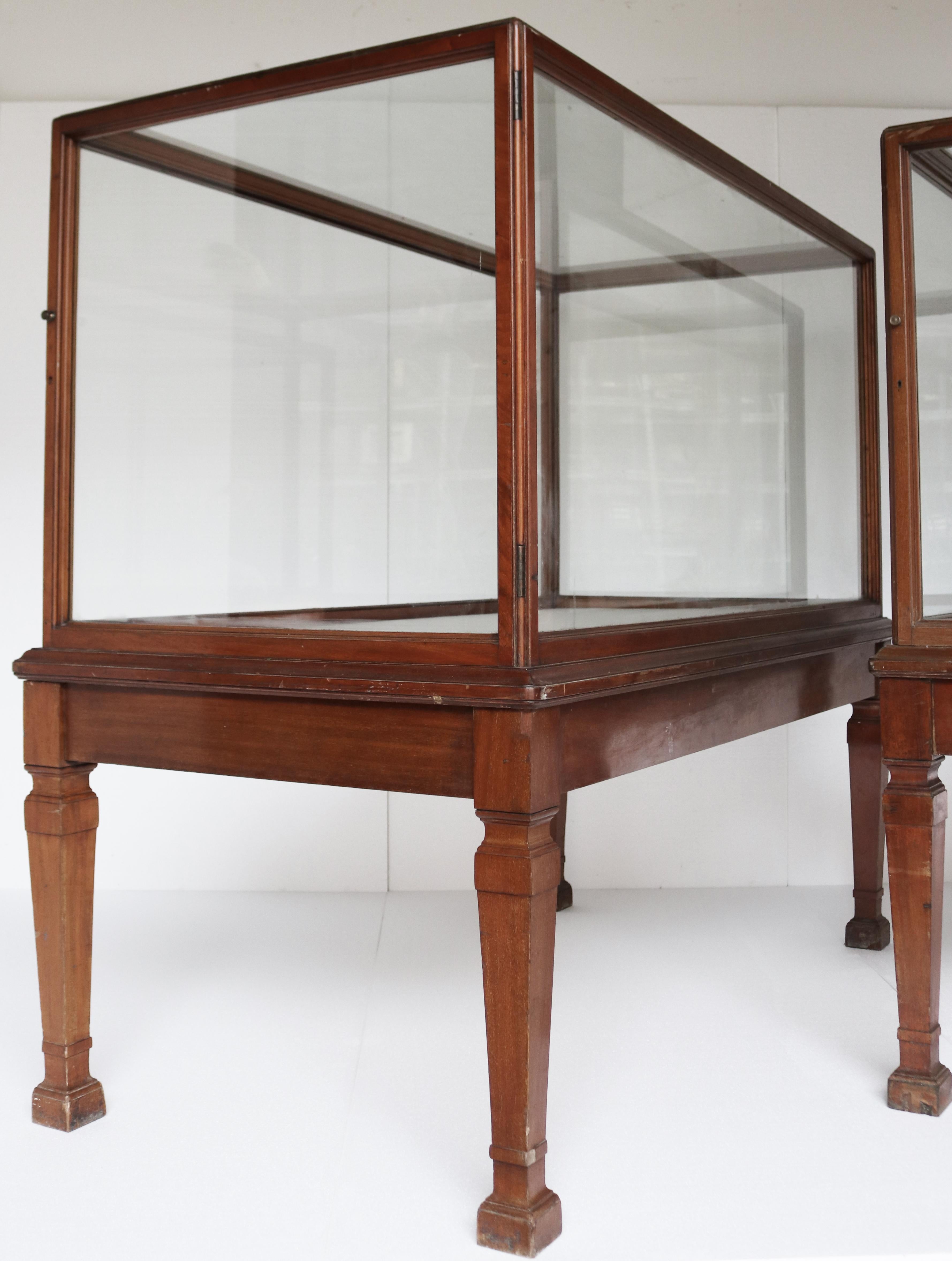 Dos vitrinas de museo antiguas acristaladas Eduardiano en venta