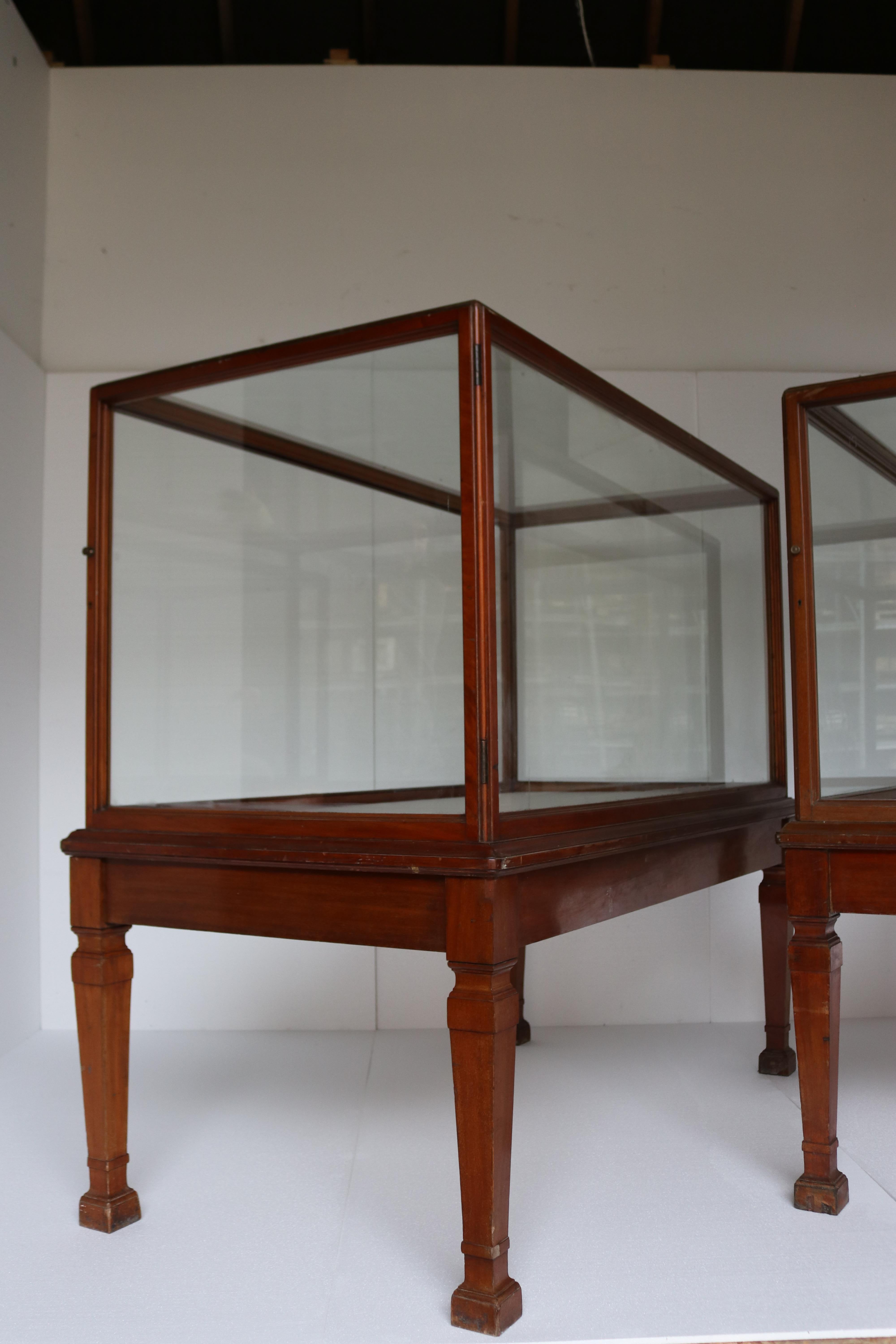 Zwei antike verglaste Museumsvitrinen im Zustand „Relativ gut“ im Angebot in Wormelow, Herefordshire
