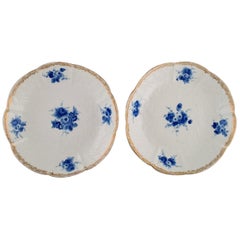 Two Antique Meissen Deep Plates with Foliage in Relief and Hand-Painted Flowers
