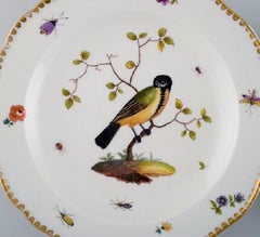 Deux assiettes Meissen antiques en porcelaine peinte à la main avec des oiseaux:: 19ème siècle