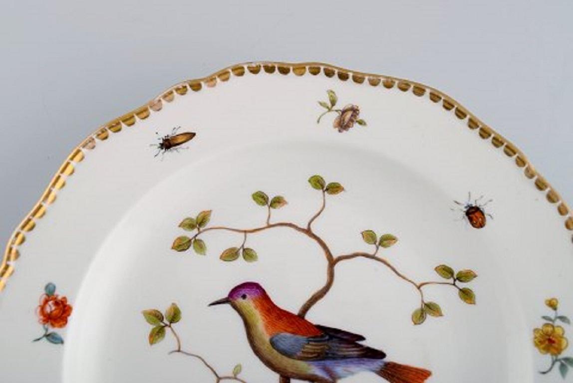 German Two Antique Meissen Plates in Hand Painted Porcelain with Birds, 19th Century