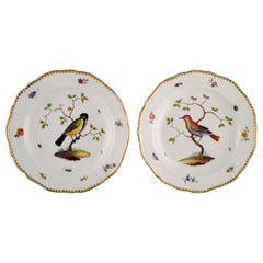 Deux assiettes Meissen antiques en porcelaine peinte à la main avec des oiseaux:: 19ème siècle