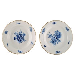 Dos Platos Antiguos de Porcelana de Meissen con Flores Pintadas a Mano y Borde Dorado
