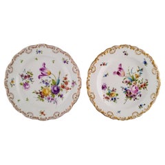 Two Antique Meissen Porcelain Plates with Hand-Painted Flowers