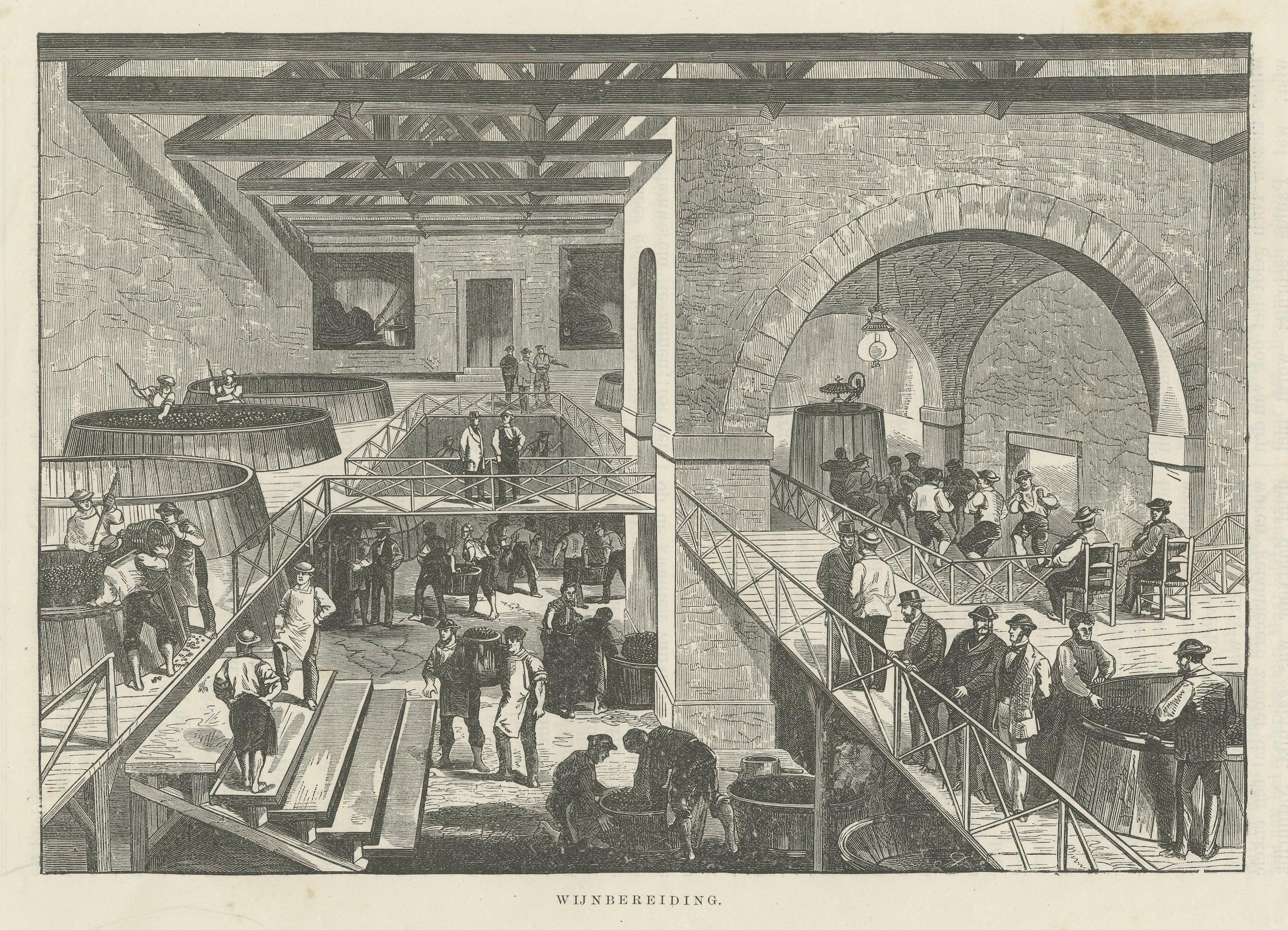 Two Antique Prints Related to Wine; Production and Drinking, 19th Century In Fair Condition For Sale In Langweer, NL