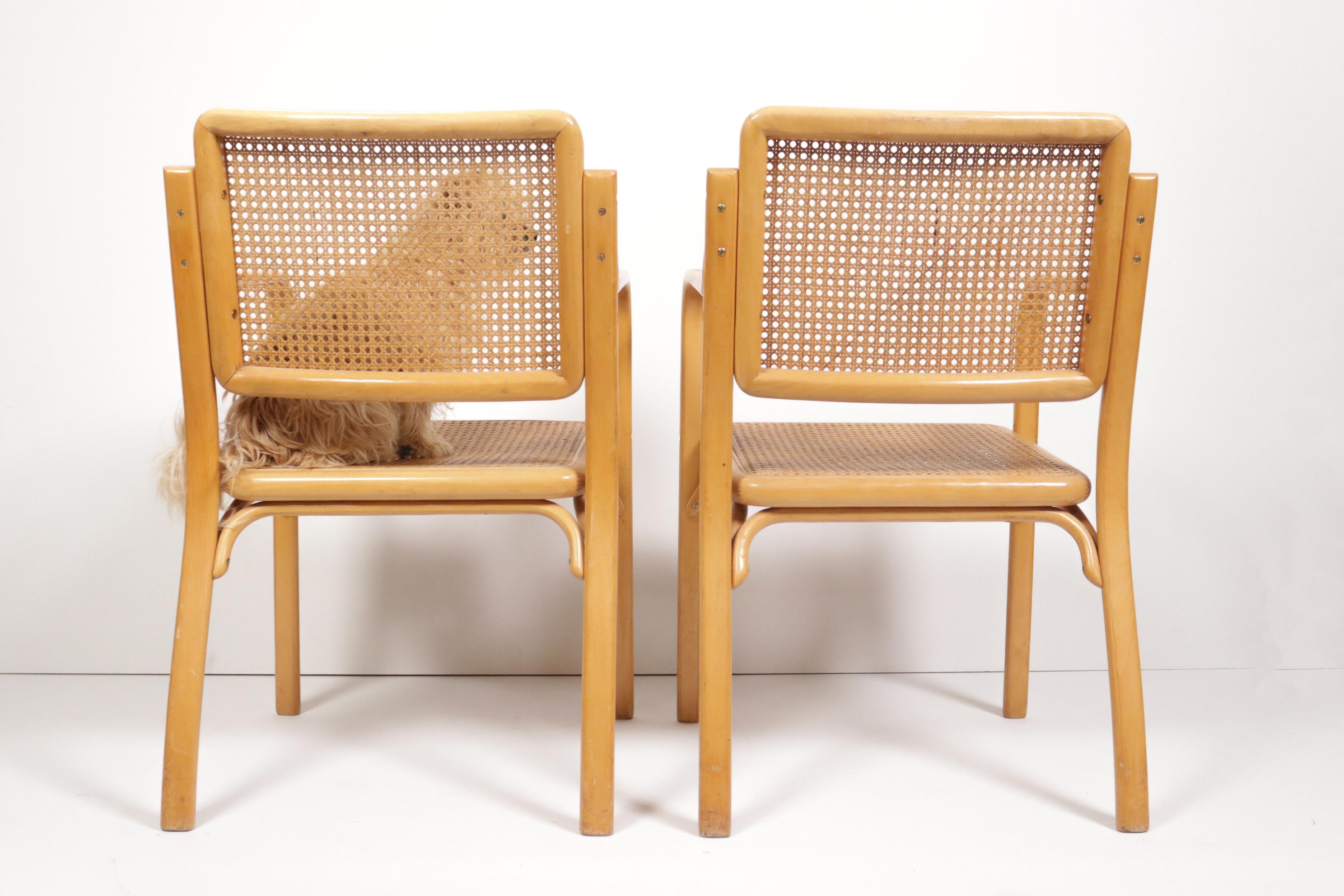 Deux fauteuils Mirjana Maracic, Mundus, Florijan Bobic Furniture Factory, Vara  en vente 5