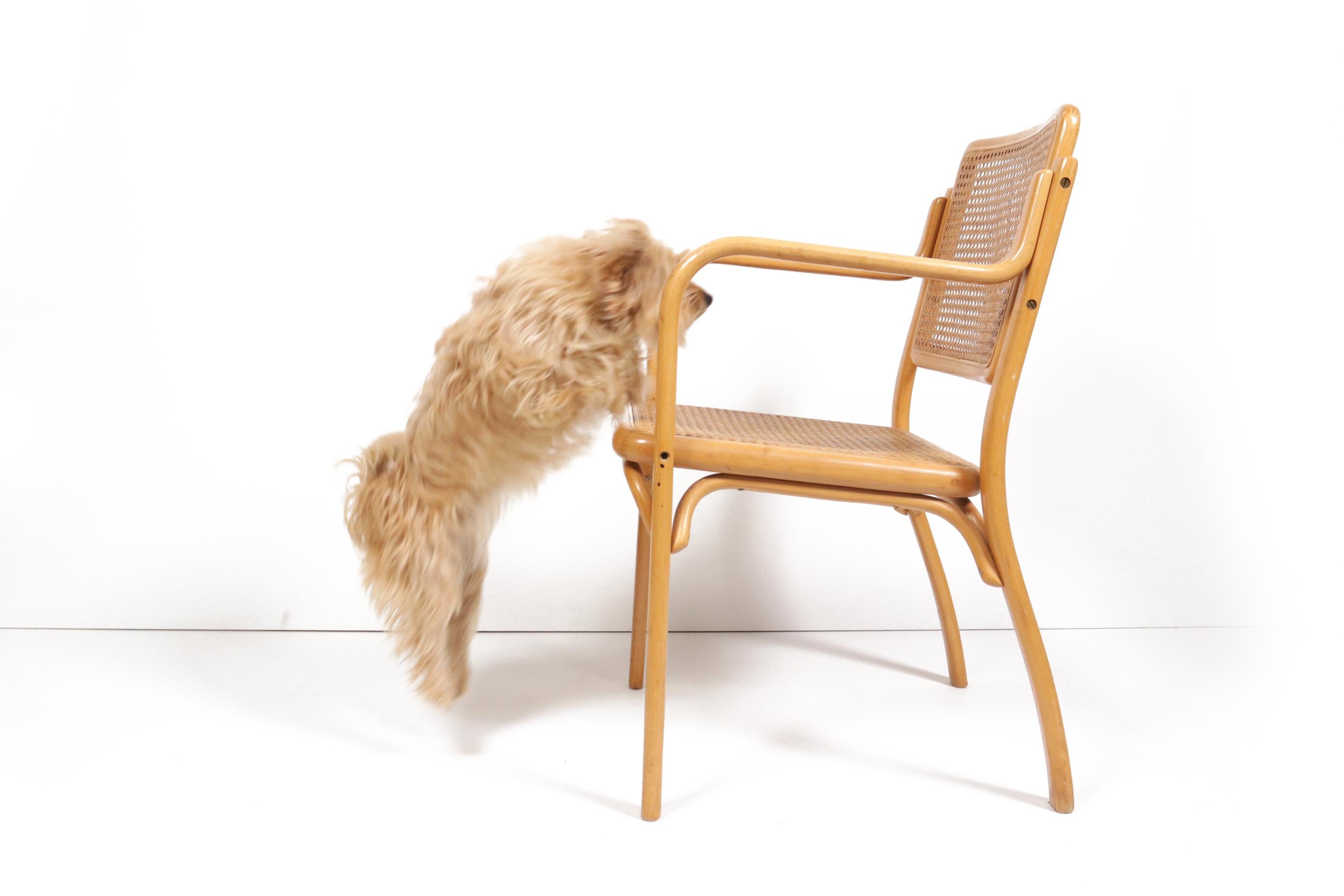 Deux fauteuils Mirjana Maracic, Mundus, Florijan Bobic Furniture Factory, Vara  en vente 8