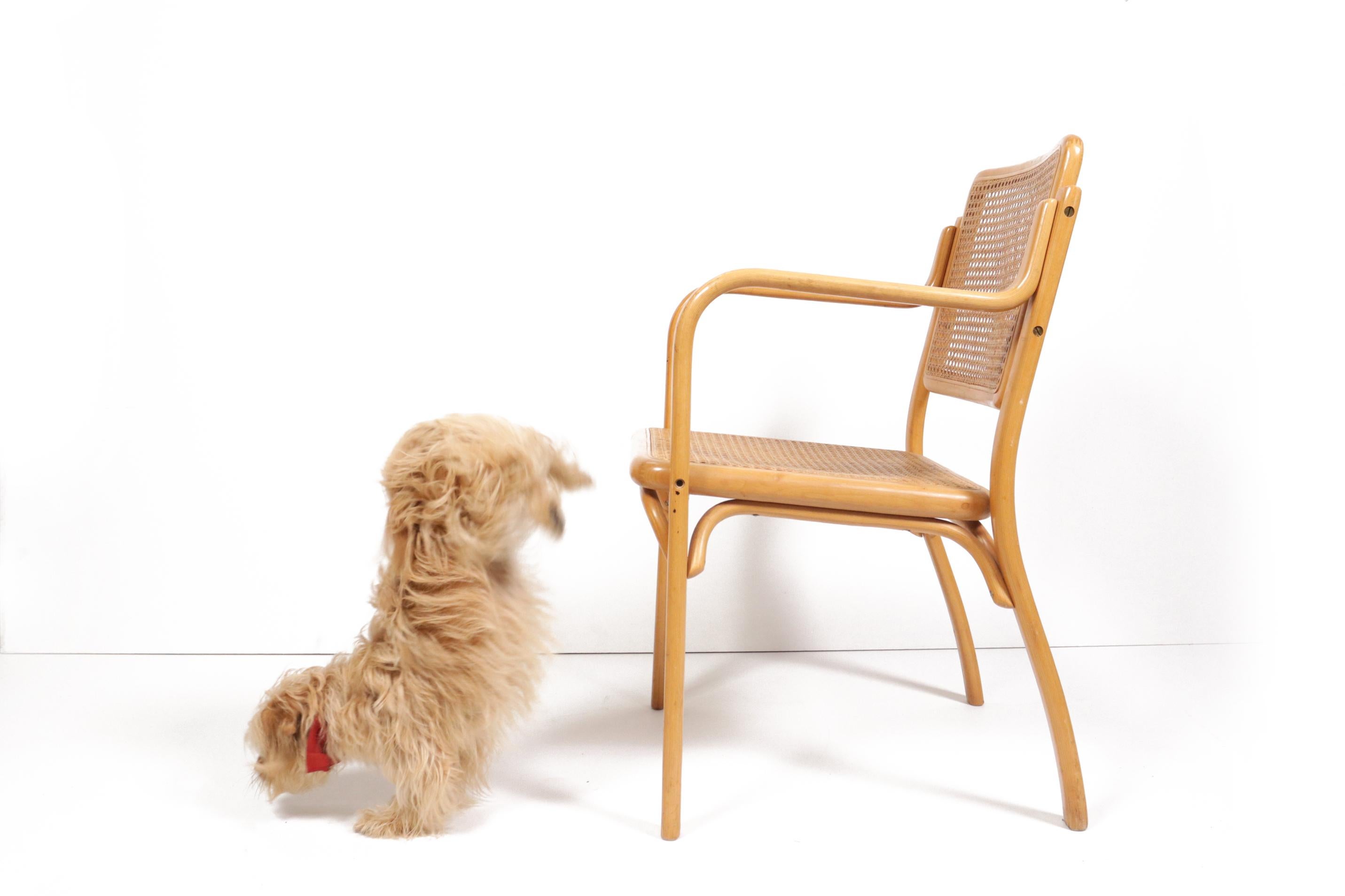 Deux rares fauteuils design du milieu du siècle en bois de hêtre courbé et assise et dossier en sangle.

Le fabricant date de la fin du XIXe siècle, s'appelait initialement Mundus (usine croate de meubles en bois courbé) et a été rebaptisé Thonet