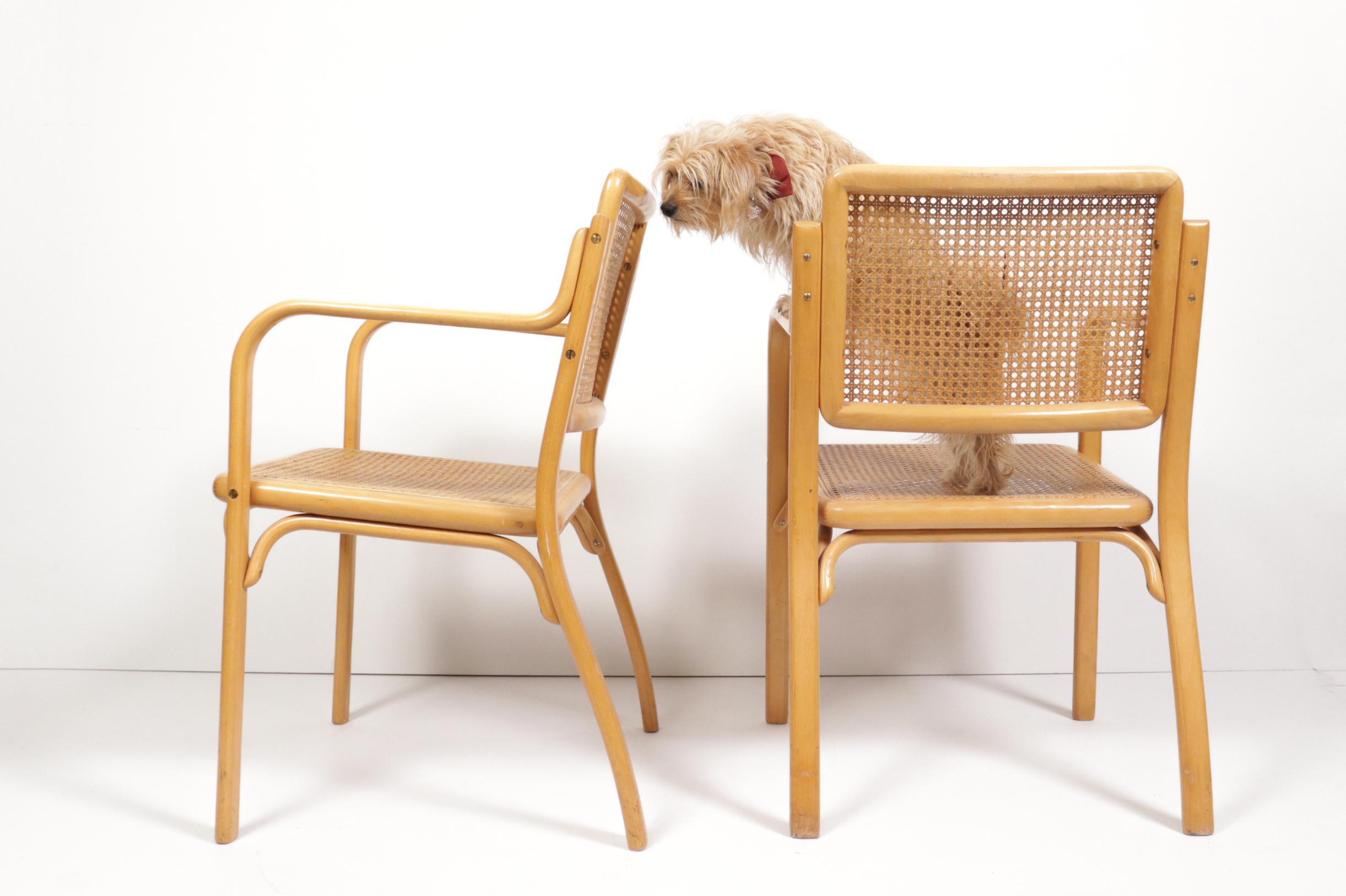 Deux fauteuils Mirjana Maracic, Mundus, Florijan Bobic Furniture Factory, Vara  en vente 1