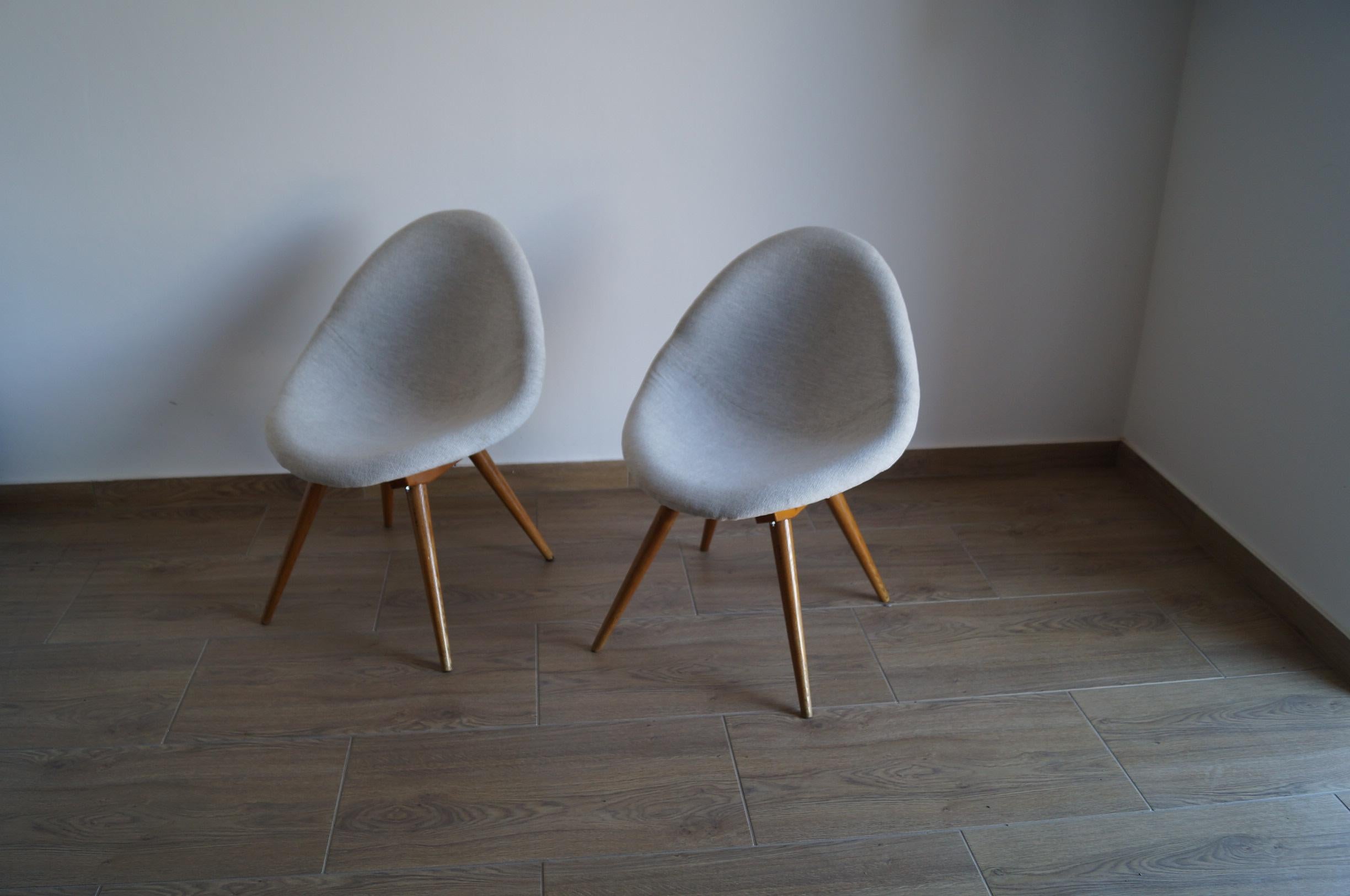 Two Art Deco Armchair Shell from 1950 For Sale 2