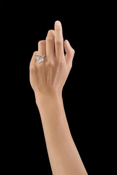 Two Butterfly 18 Karat White Gold Ring by Édéenne, Paris