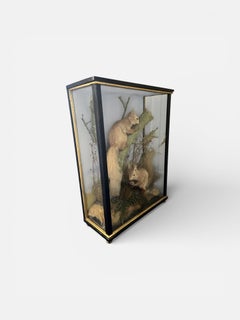 Two Cased Taxidermy Squirrels