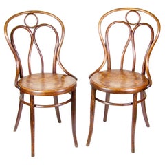Deux chaises Thonet Nr.19, vers 1900
