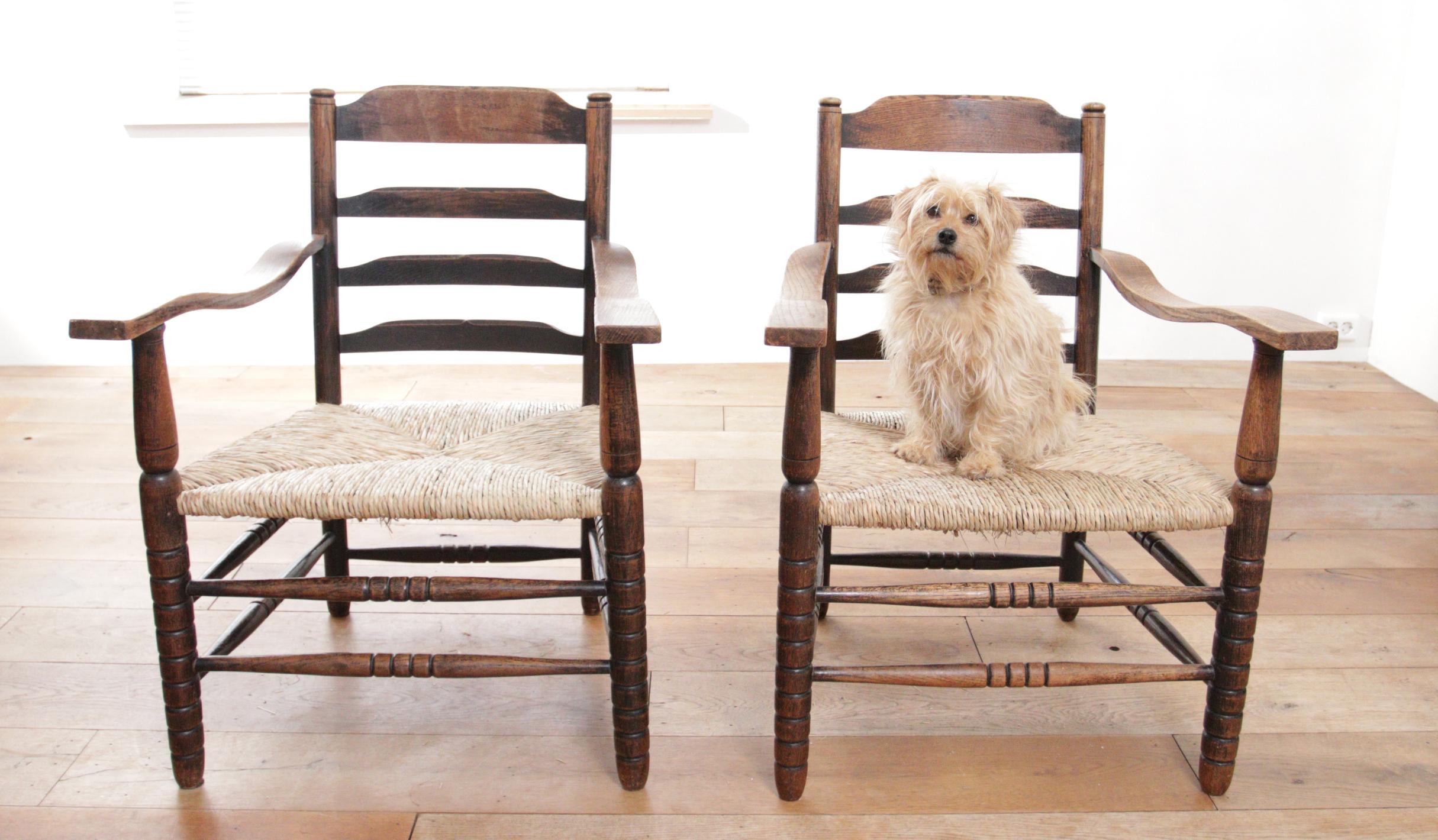 These charming oak ladder back chairs featuring wicker seats make an excellent choice for enhancing the ambiance of any living space. Combining style, comfort, and durability, they are versatile additions that will elevate the decor in your dining