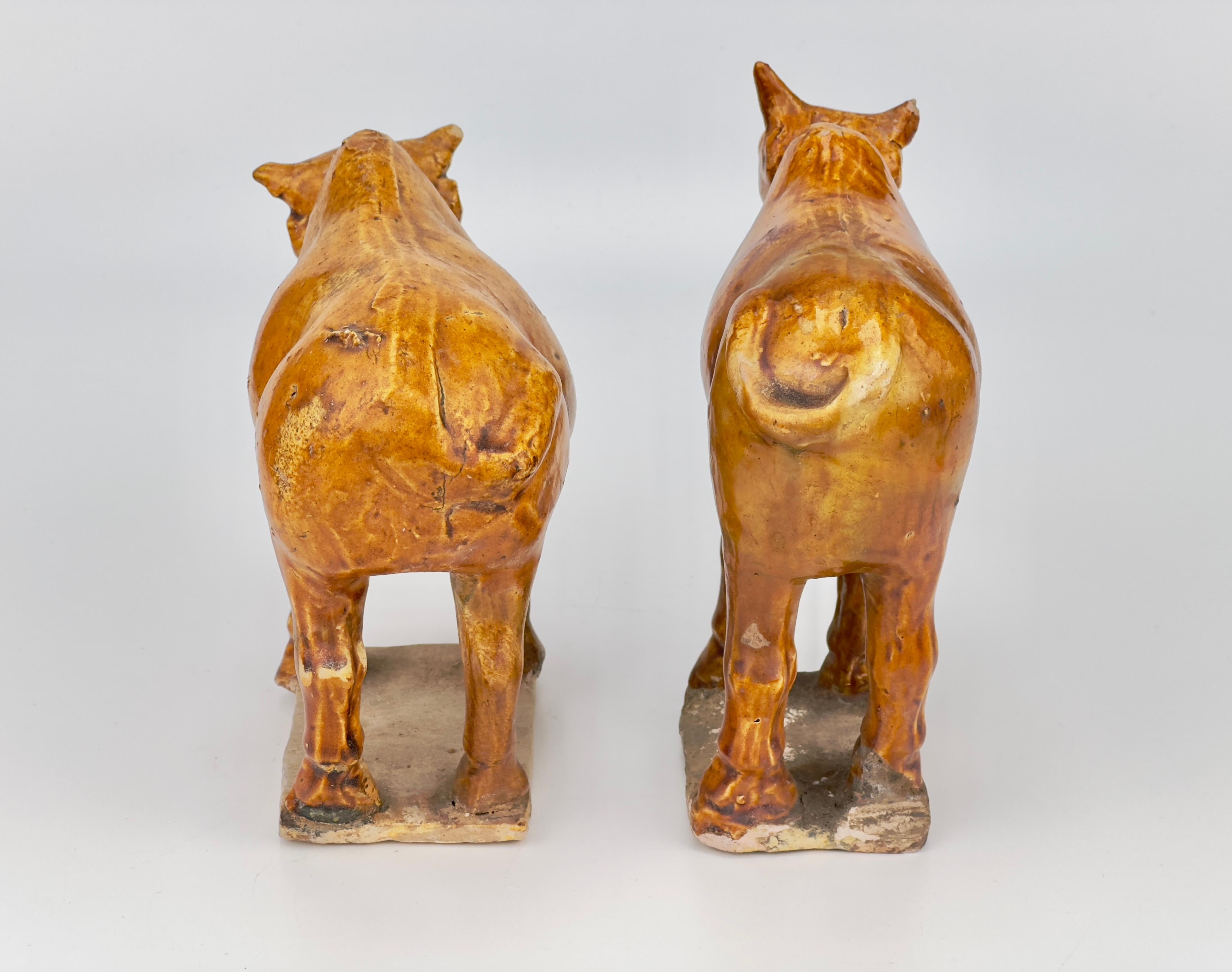 Two Chestnut-glazed Pottery Figure of Sacred Bulls, Tang Dynasty For Sale 5