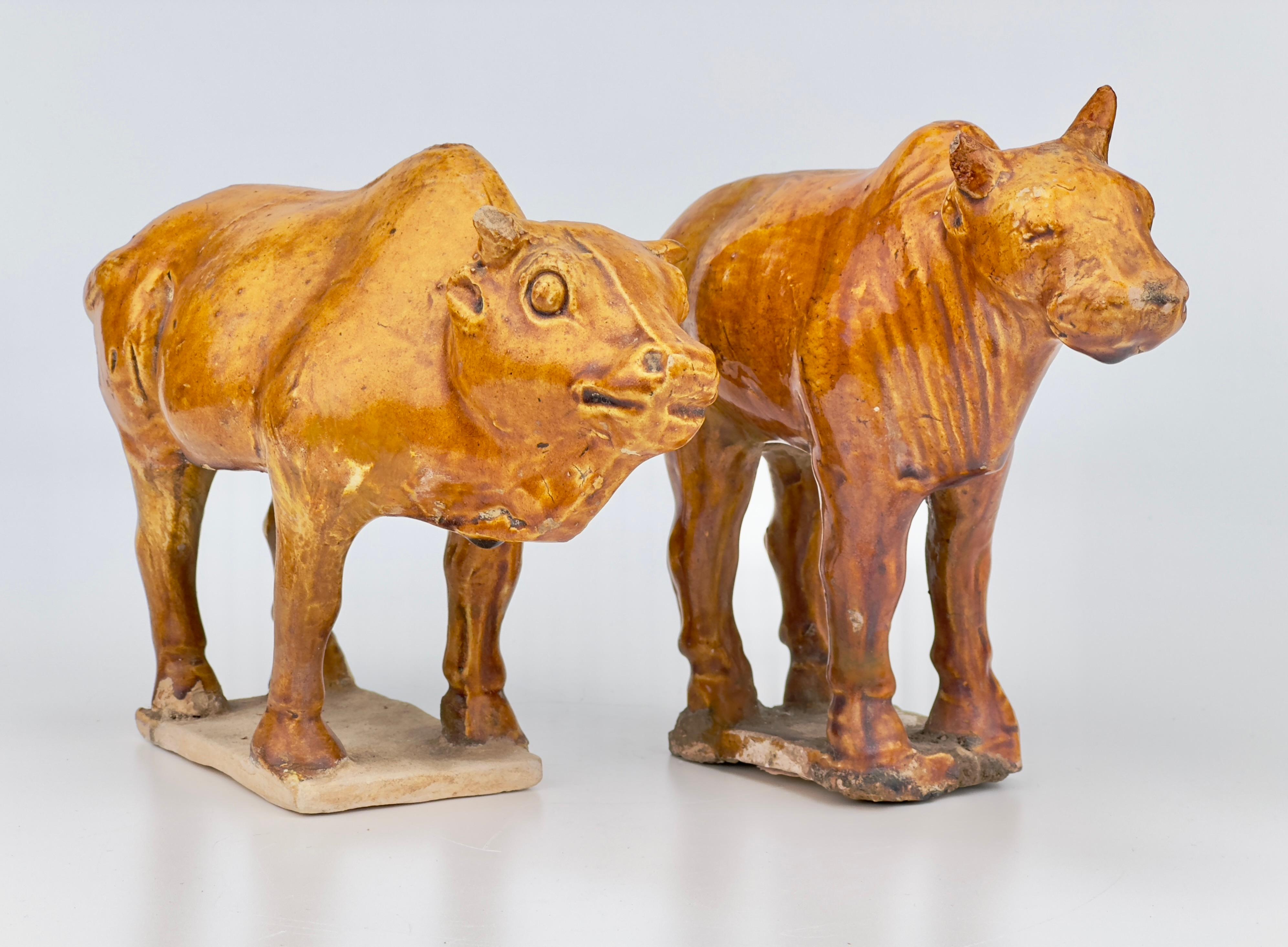 Two Chestnut-glazed Pottery Figure of Sacred Bulls, Tang Dynasty For Sale 6
