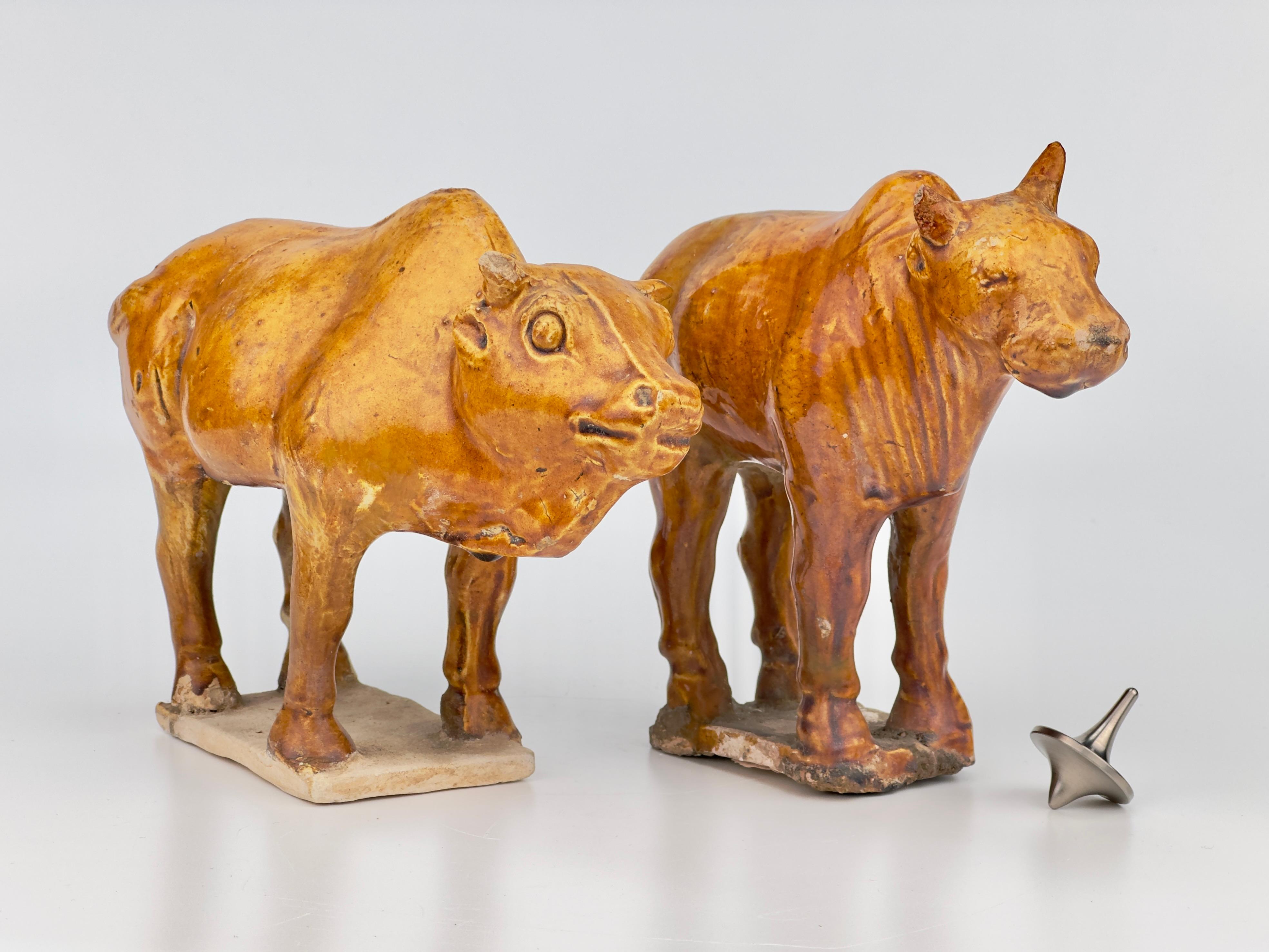 Chinese Two Amber-glazed Pottery Figure of Sacred Bulls, Tang-Liao Dynasty(7-12th c) For Sale