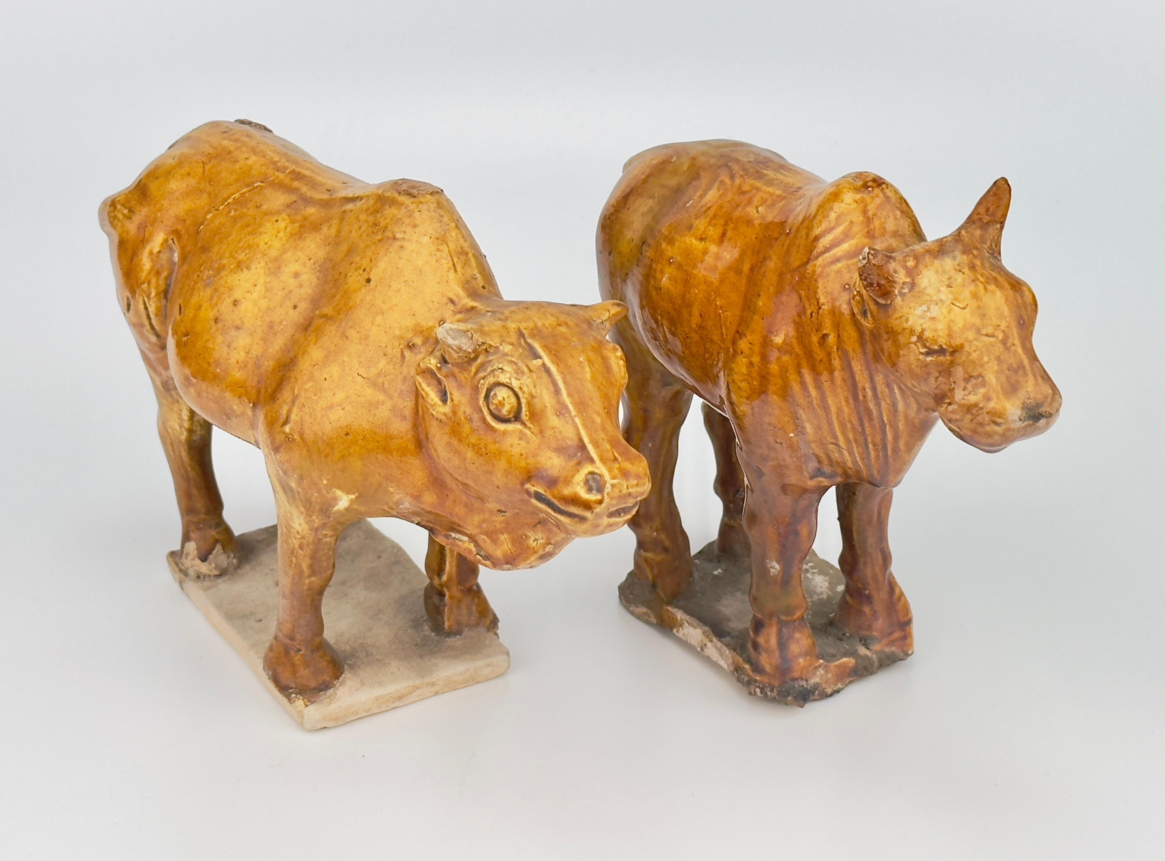 18th Century and Earlier Two Chestnut-glazed Pottery Figure of Sacred Bulls, Tang Dynasty For Sale