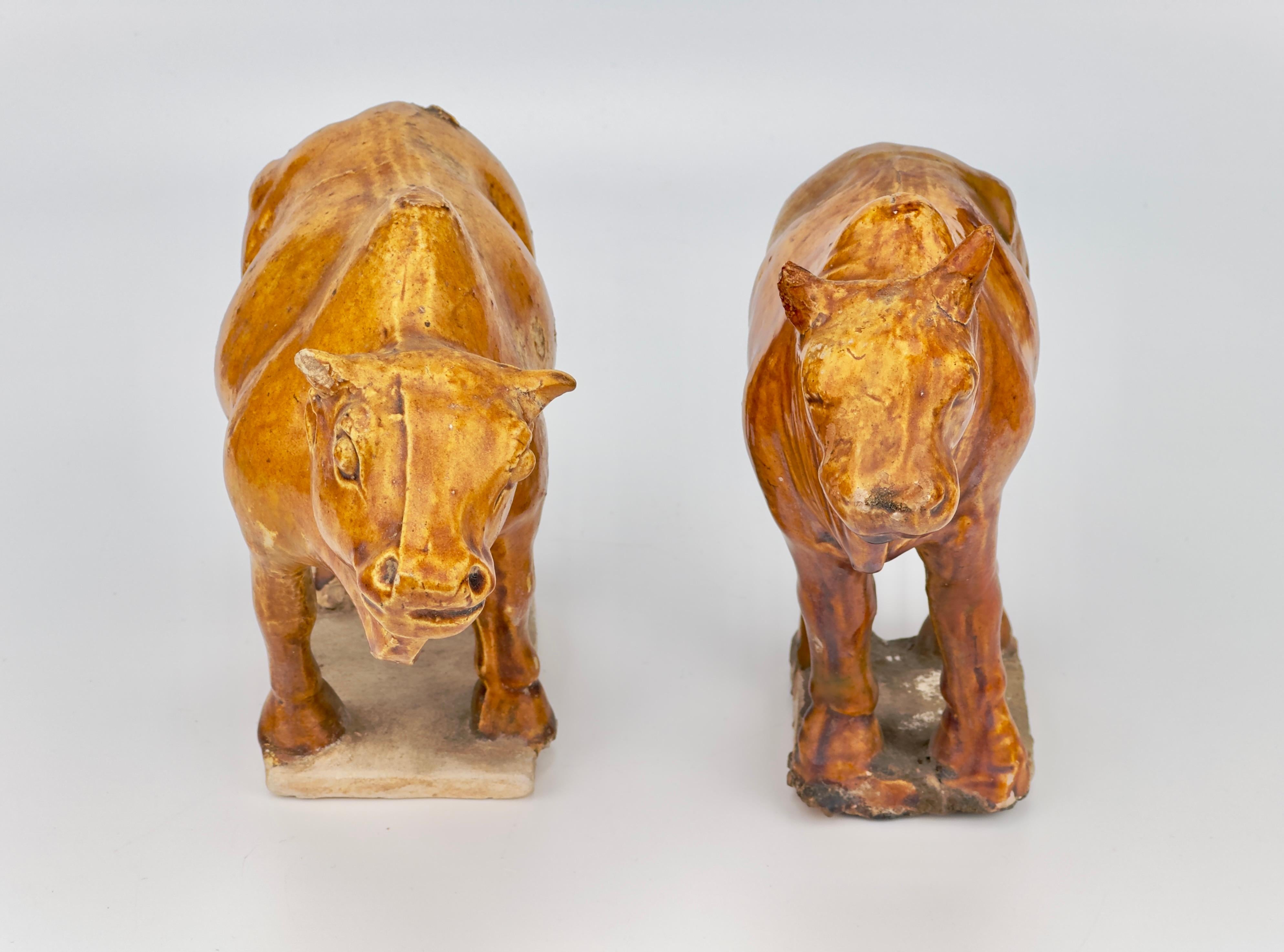 Two Chestnut-glazed Pottery Figure of Sacred Bulls, Tang Dynasty For Sale 1