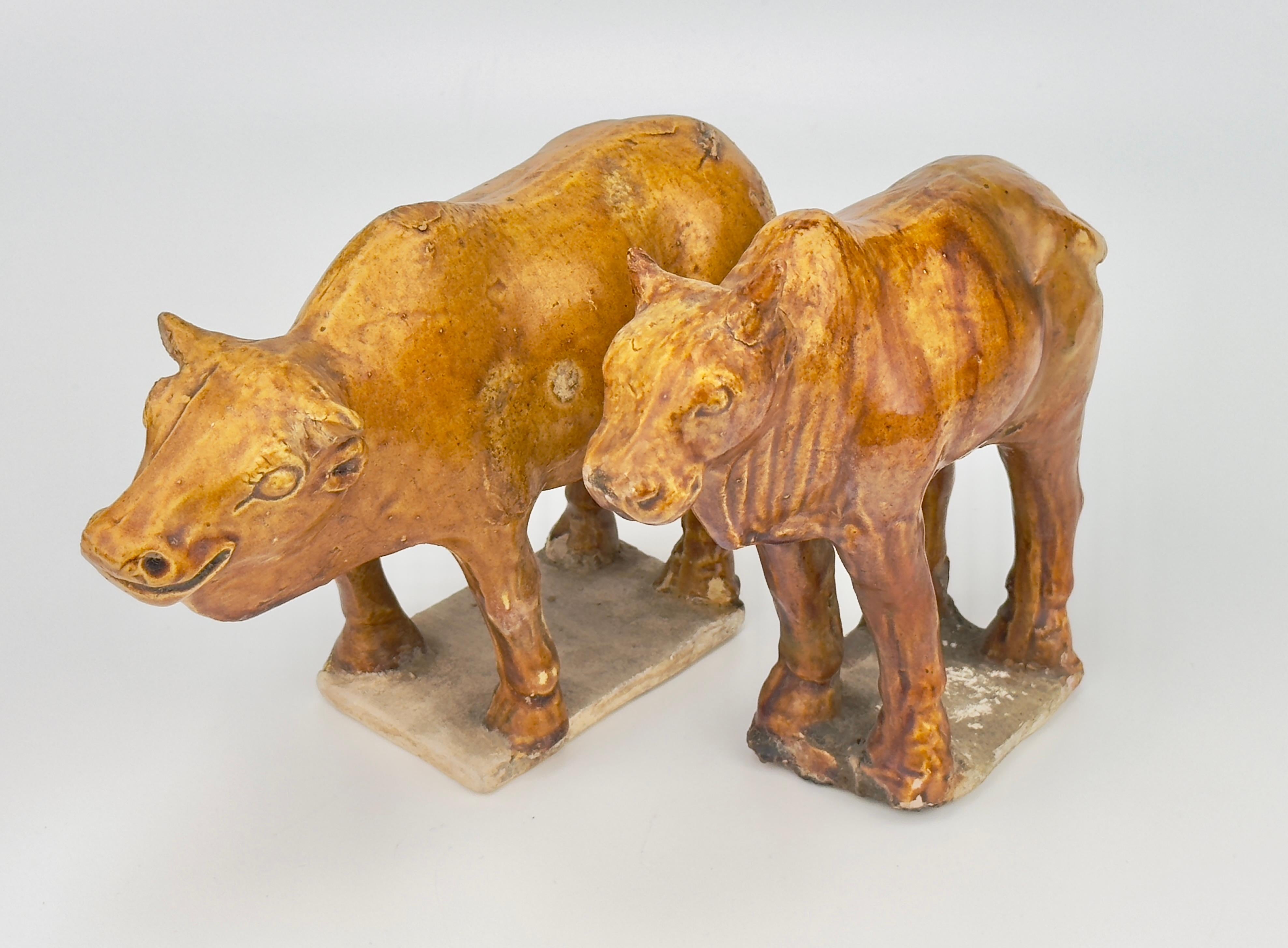 Two Chestnut-glazed Pottery Figure of Sacred Bulls, Tang Dynasty For Sale 2