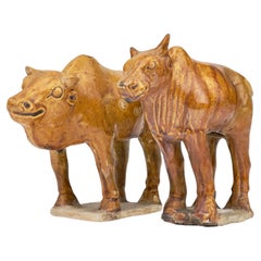 Used Two Chestnut-glazed Pottery Figure of Sacred Bulls, Tang Dynasty