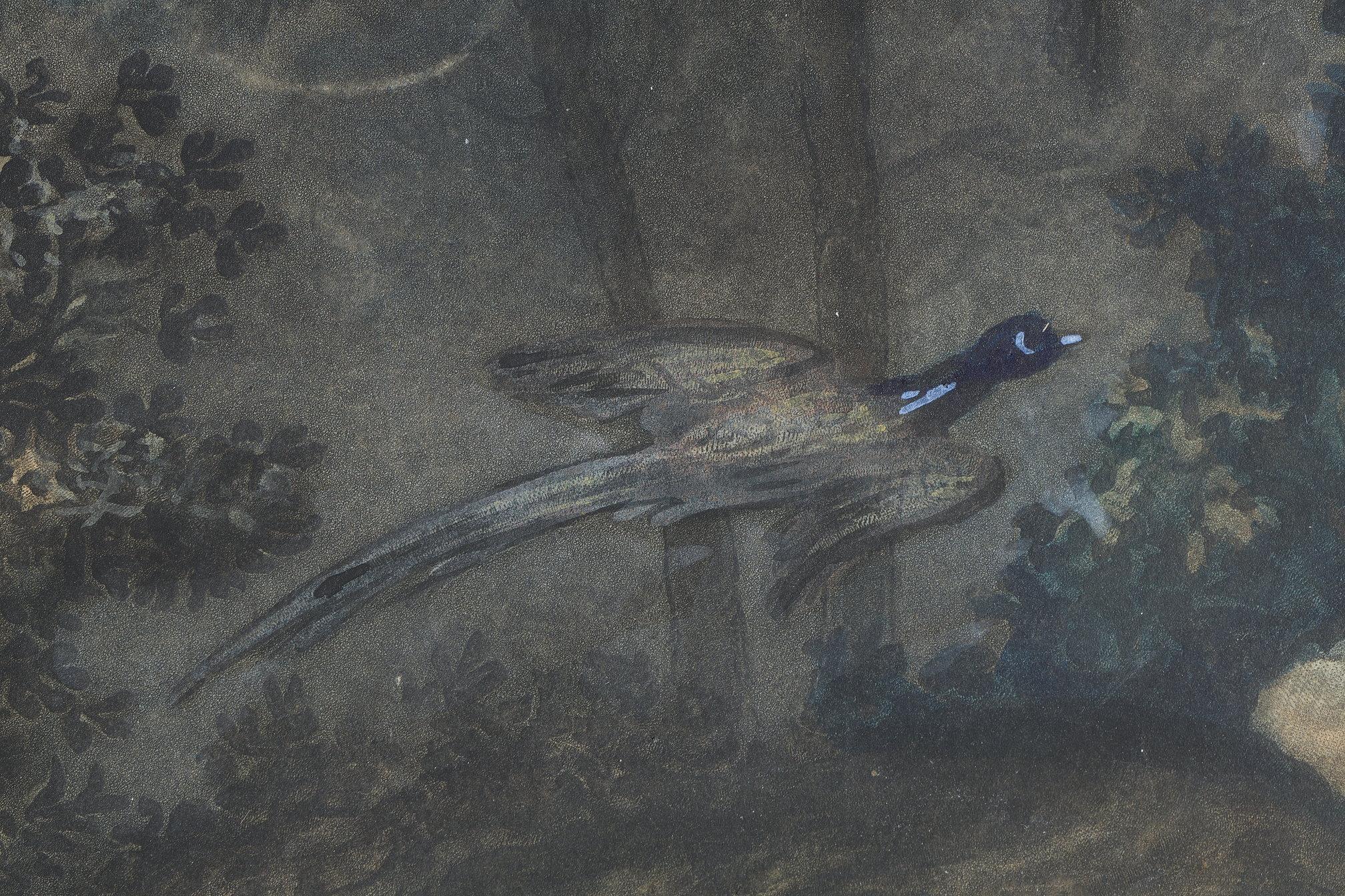Two colored engravings enhanced with gouache, signed Carle Vernet For Sale 5