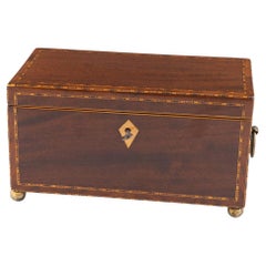 Two Compartment Tea Caddy from the Early 19th Century