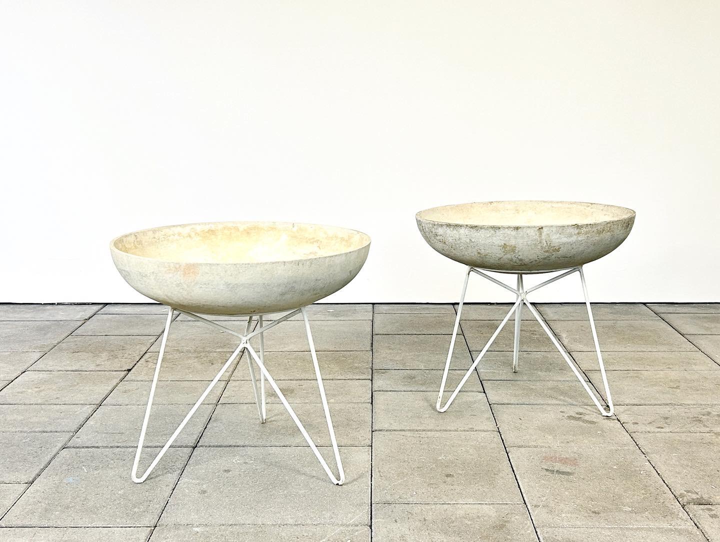 Mid-Century Modern Two Concrete planters designed by Willy Guhl for Ethernit, 1960ies For Sale