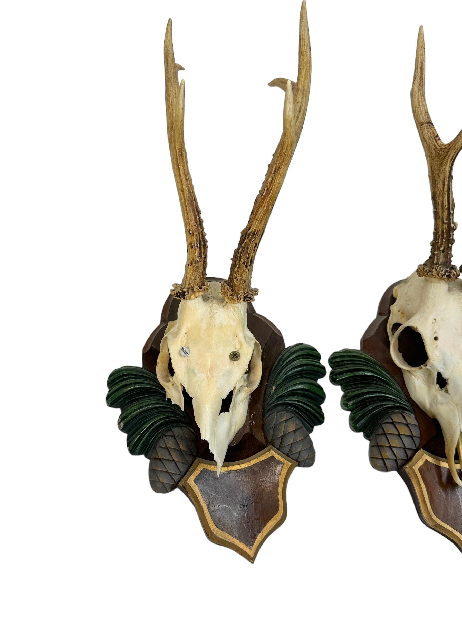 A set of two antique Black Forest deer antler trophies on hand carved, Black Forest wooden plaques. They are not dated. Measurement's given in dimensions section refers to the tallest item. A nice addition to your hunters loge, cabin, man cave or