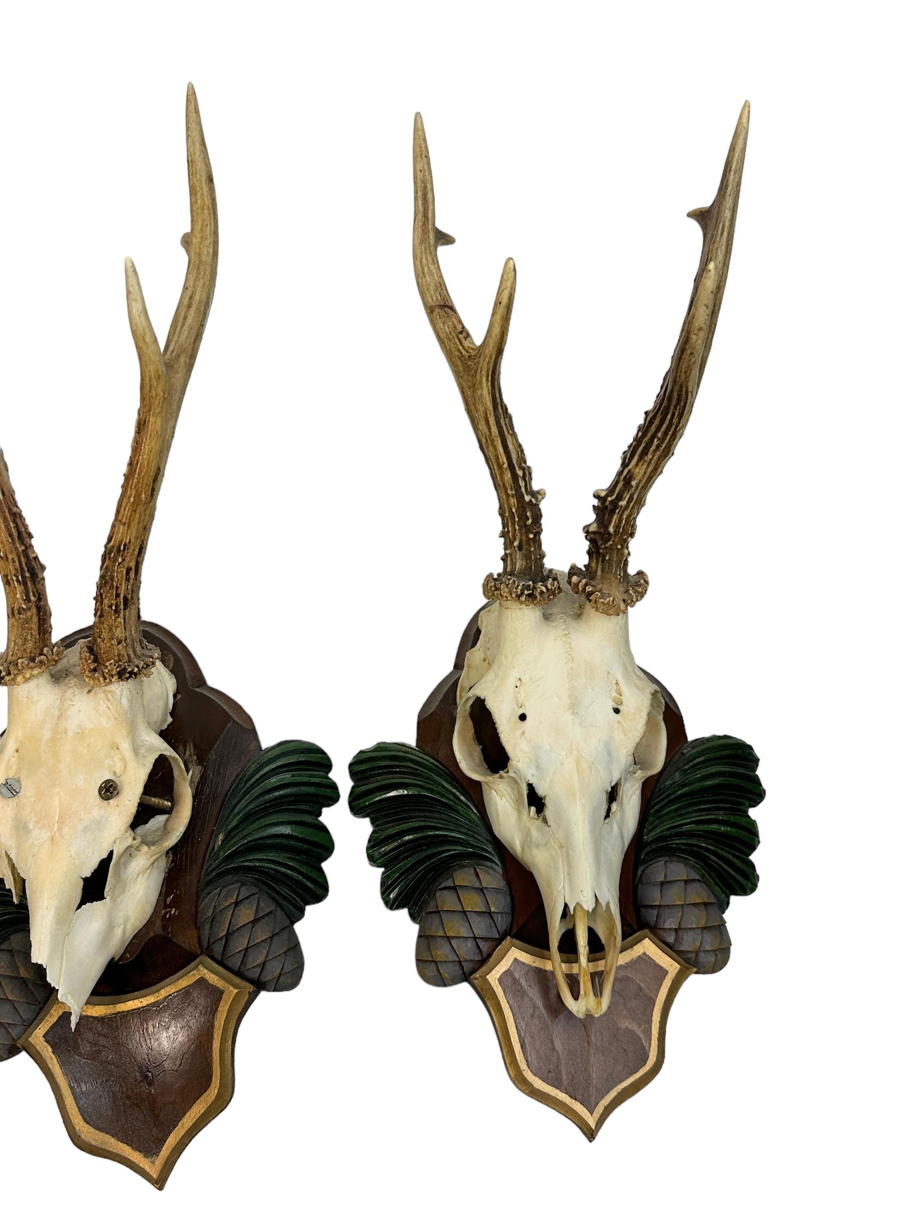 Austrian Two Deer Antler Mount Trophy Black Forest Carved Wood Plaque Austria Folk Art  For Sale