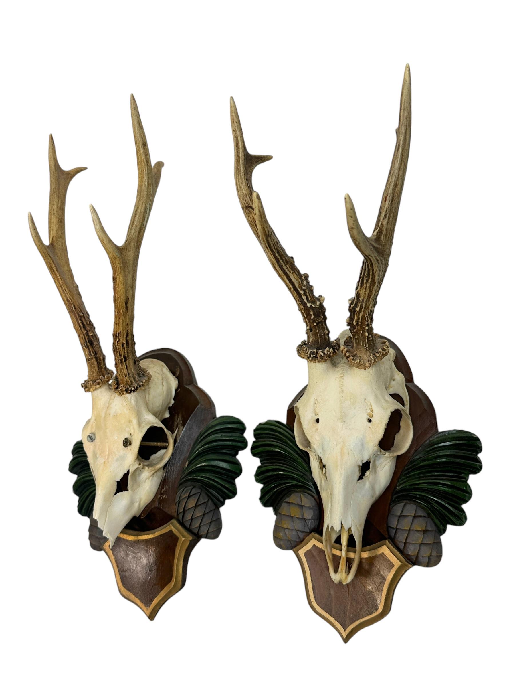 Hand-Carved Two Deer Antler Mount Trophy Black Forest Carved Wood Plaque Austria Folk Art  For Sale