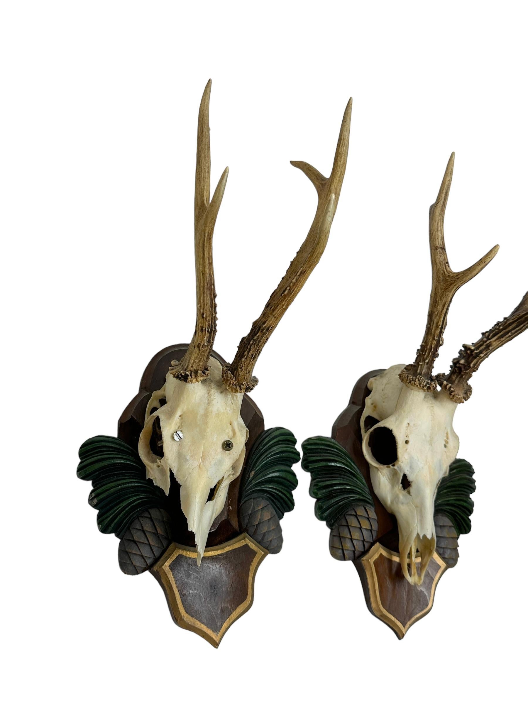 Two Deer Antler Mount Trophy Black Forest Carved Wood Plaque Austria Folk Art  In Good Condition For Sale In Nuernberg, DE