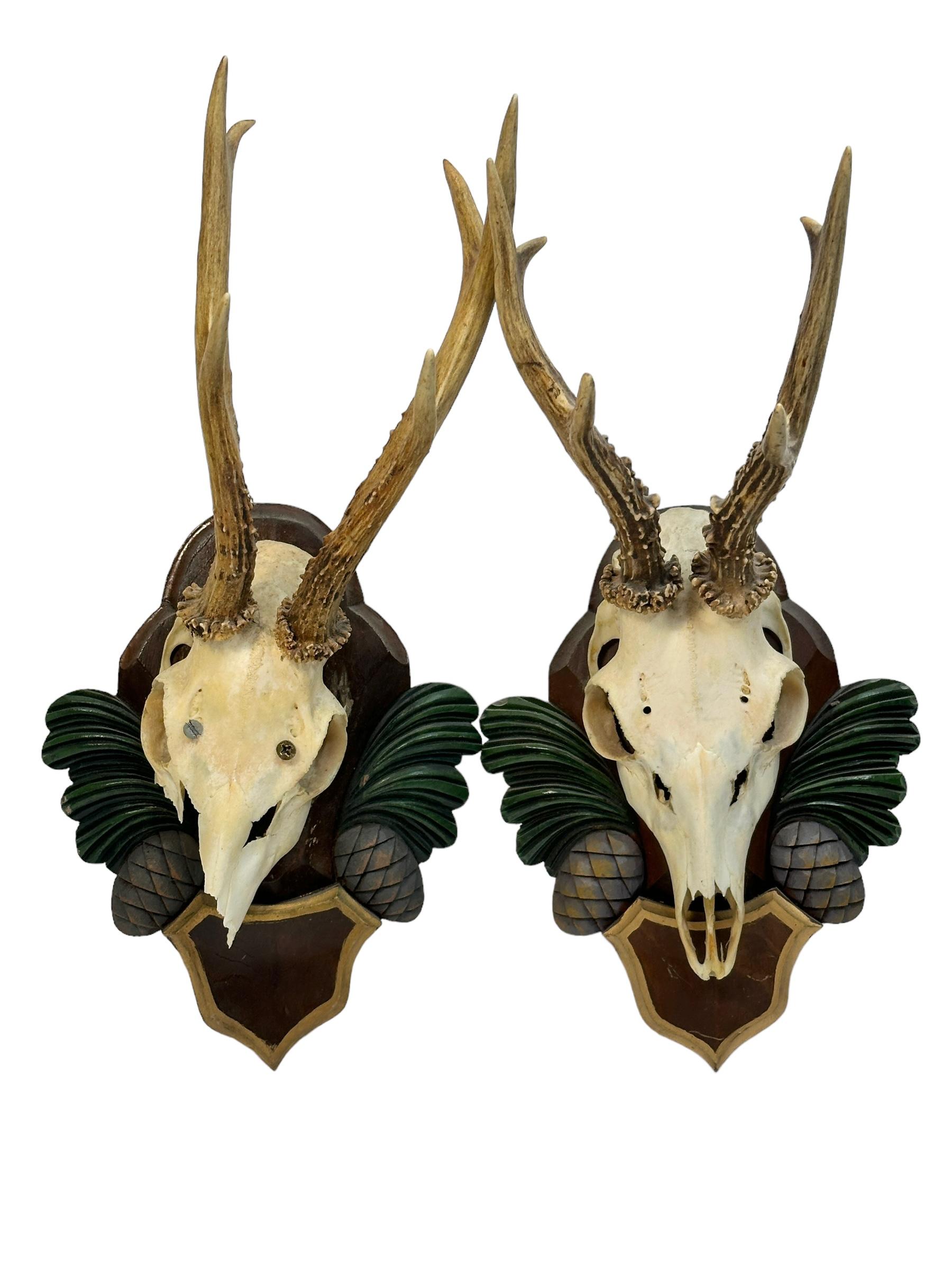 Mid-20th Century Two Deer Antler Mount Trophy Black Forest Carved Wood Plaque Austria Folk Art  For Sale