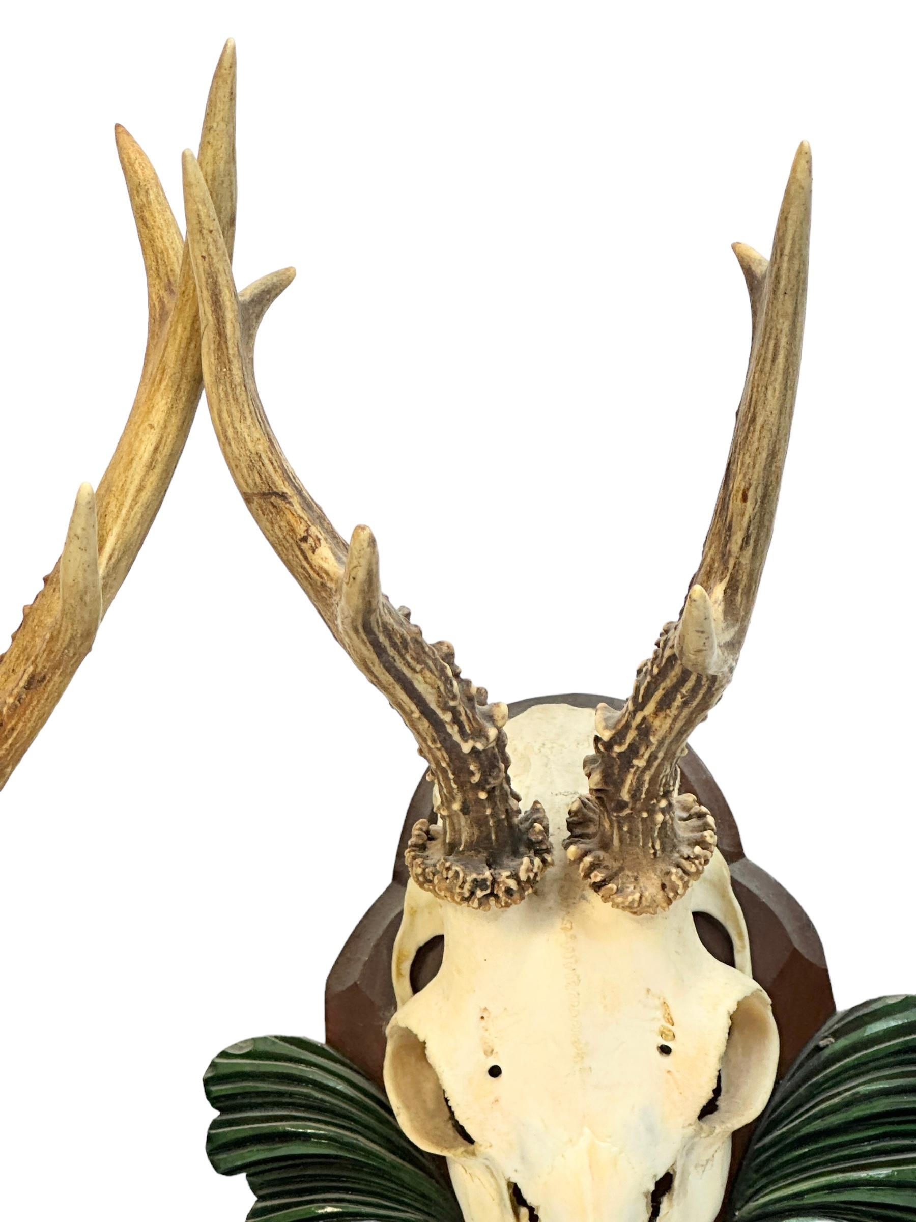 Two Deer Antler Mount Trophy Black Forest Carved Wood Plaque Austria Folk Art  For Sale 3