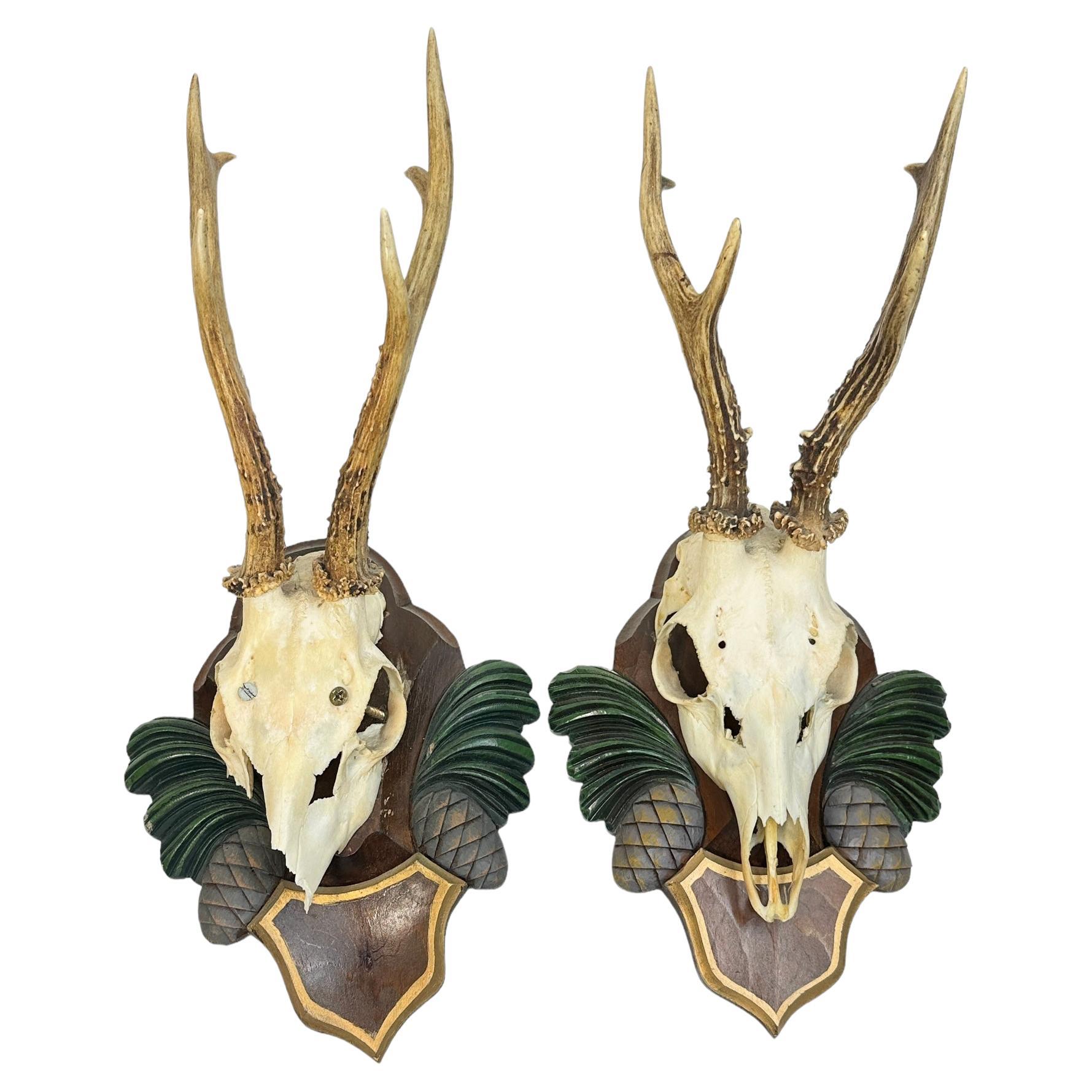 Two Deer Antler Mount Trophy Black Forest Carved Wood Plaque Austria Folk Art  For Sale