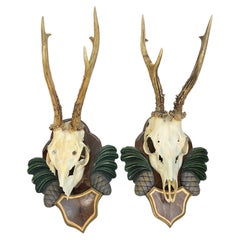 Two Deer Antler Mount Trophy Black Forest Carved Wood Plaque Austria Folk Art 