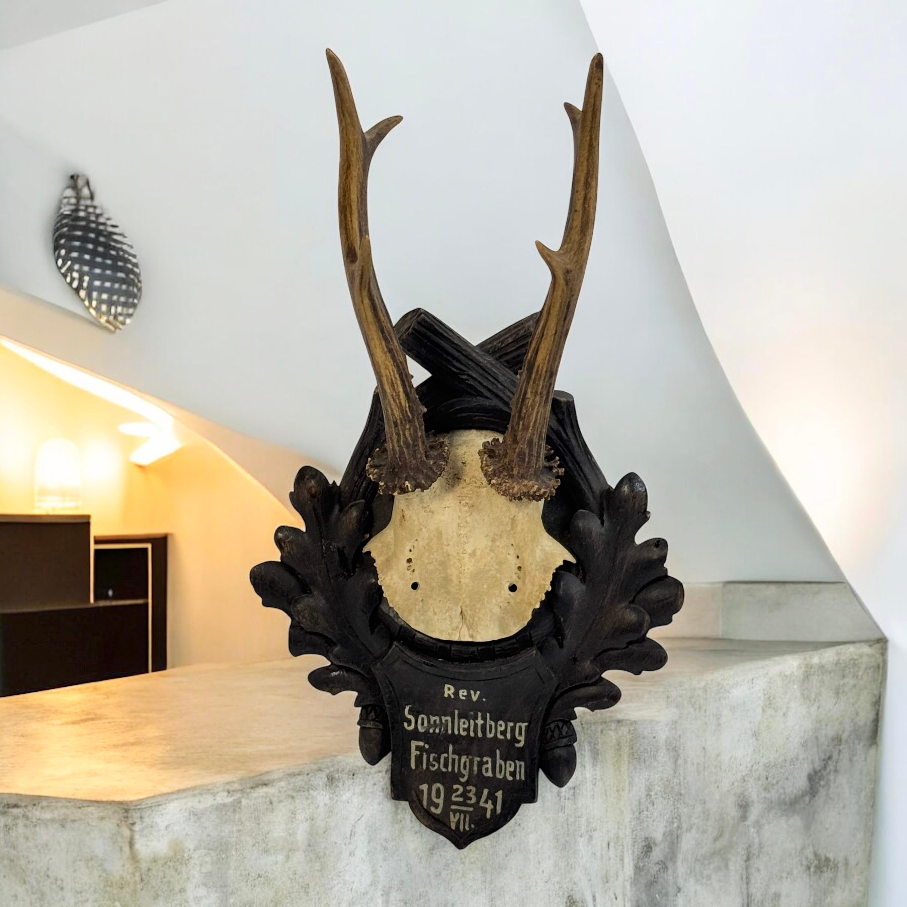 Two Deer Antler Mount Trophy Black Forest on Wood Plaque Austria Folk Art 1940s For Sale 4