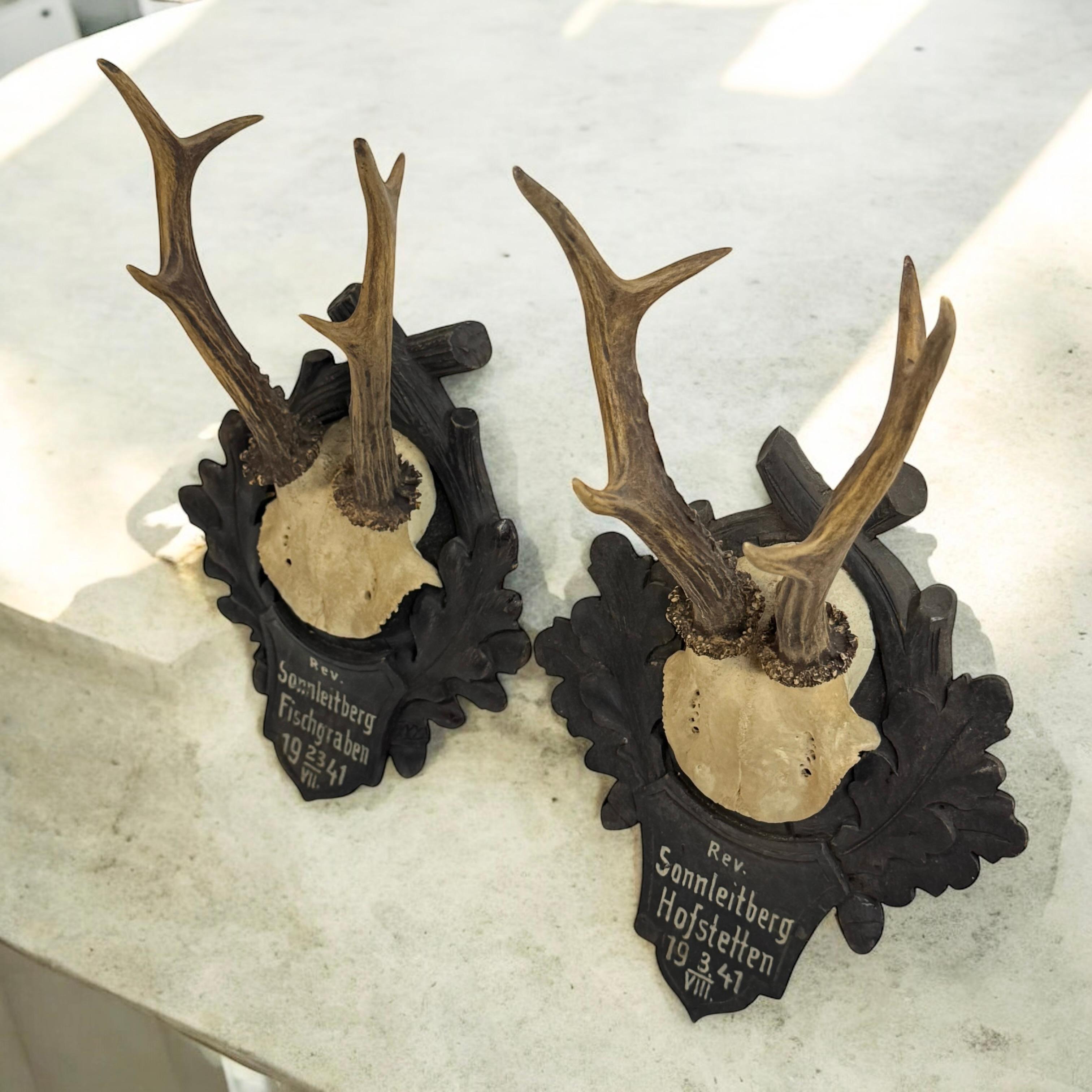 Two Deer Antler Mount Trophy Black Forest on Wood Plaque Austria Folk Art 1940s For Sale 6