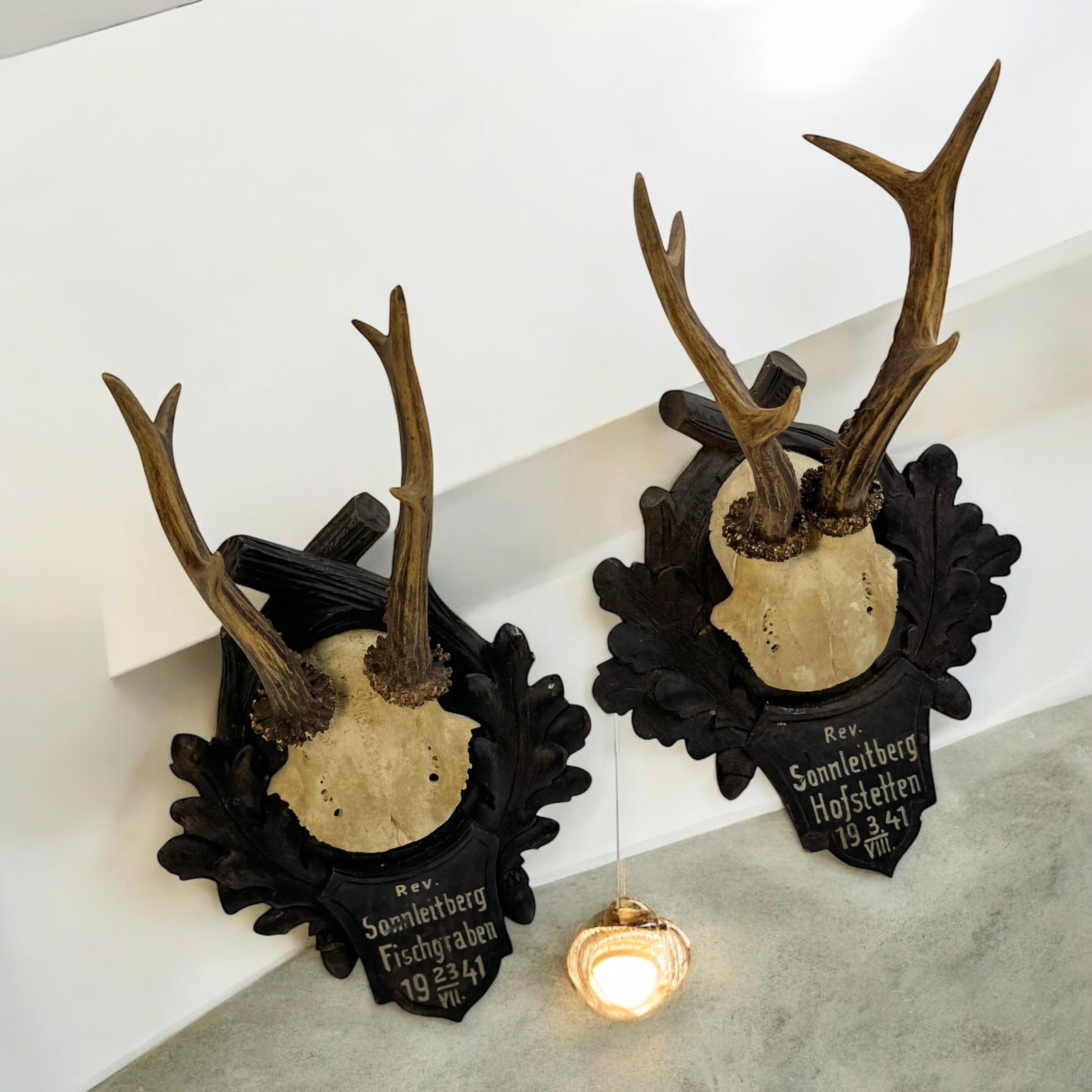 Two Deer Antler Mount Trophy Black Forest on Wood Plaque Austria Folk Art 1940s For Sale 7
